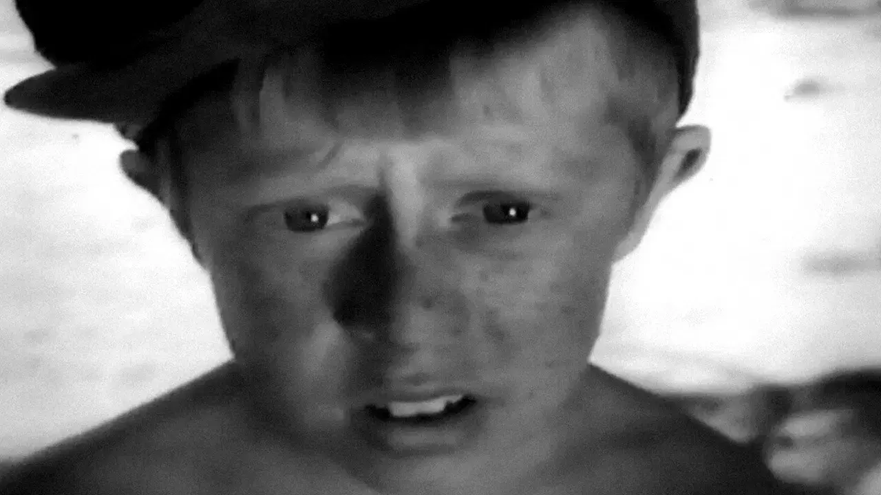 Тореадори з Васюківки