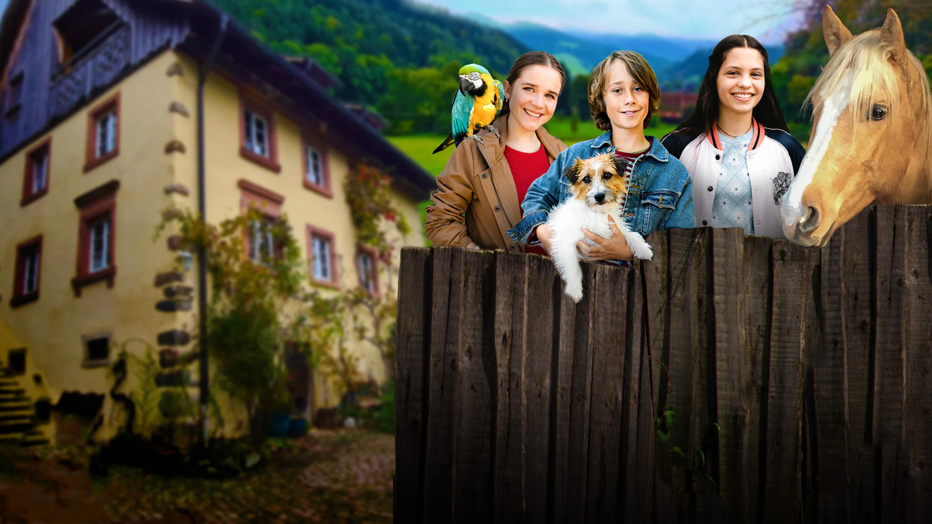 Tiere bis unters Dach