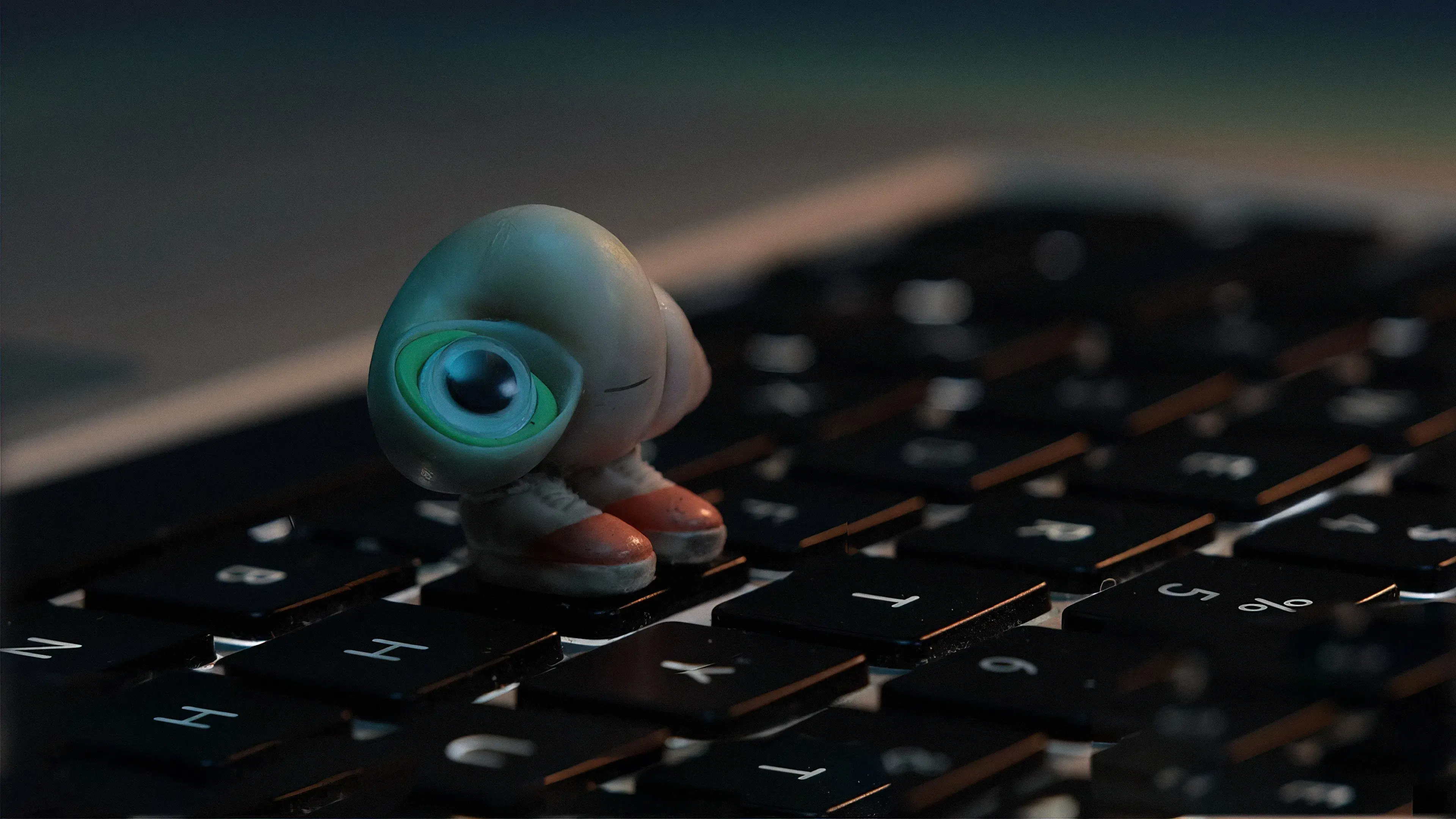 Marcel, a Concha de Sapatos