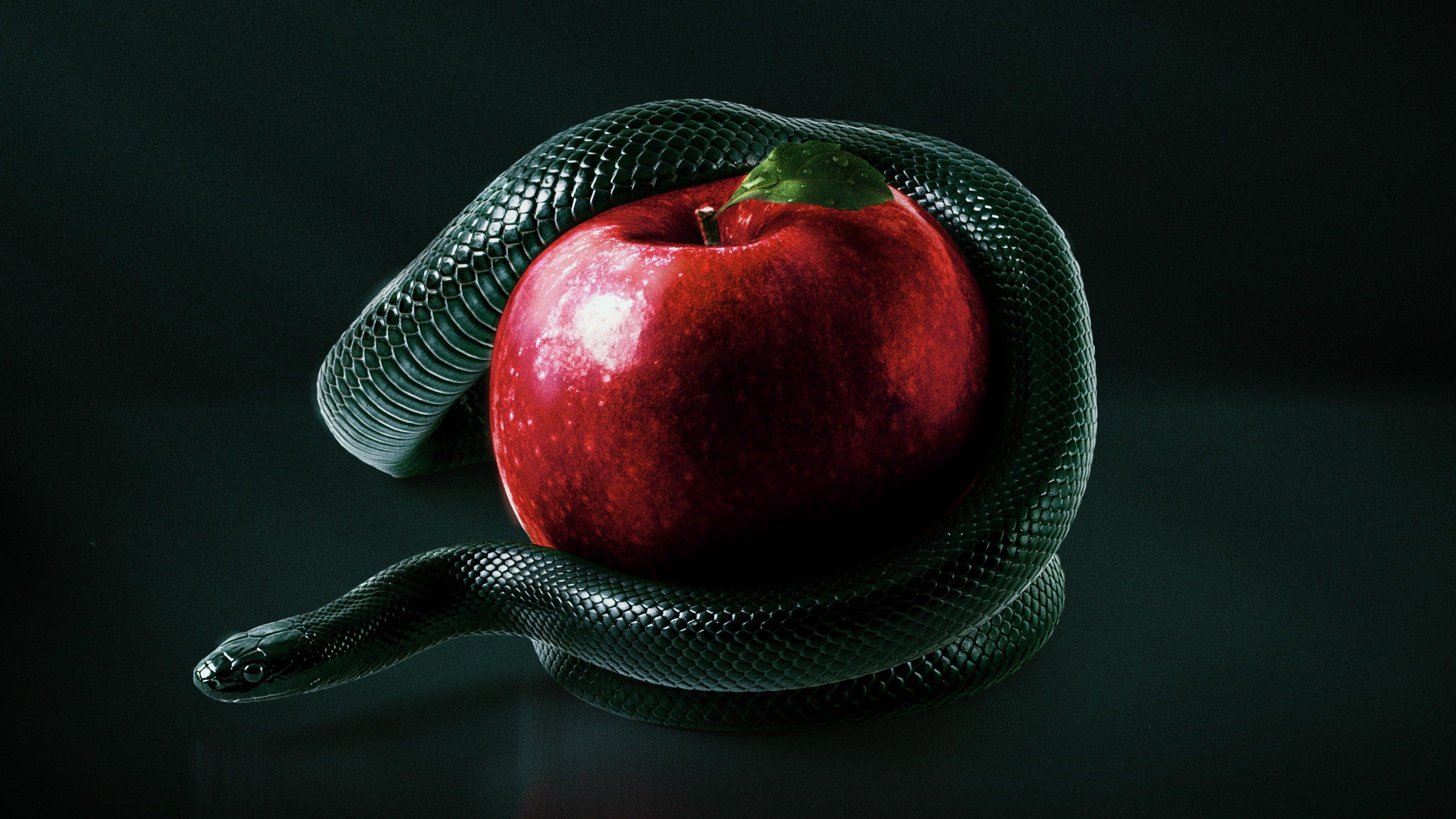 Os Segredos da Bíblia