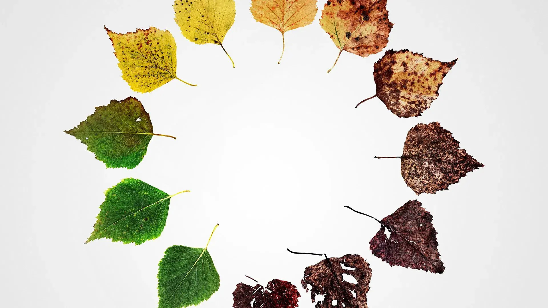 Finais Alternativos - Seis Novas Maneiras de Morrer nos Estados Unidos