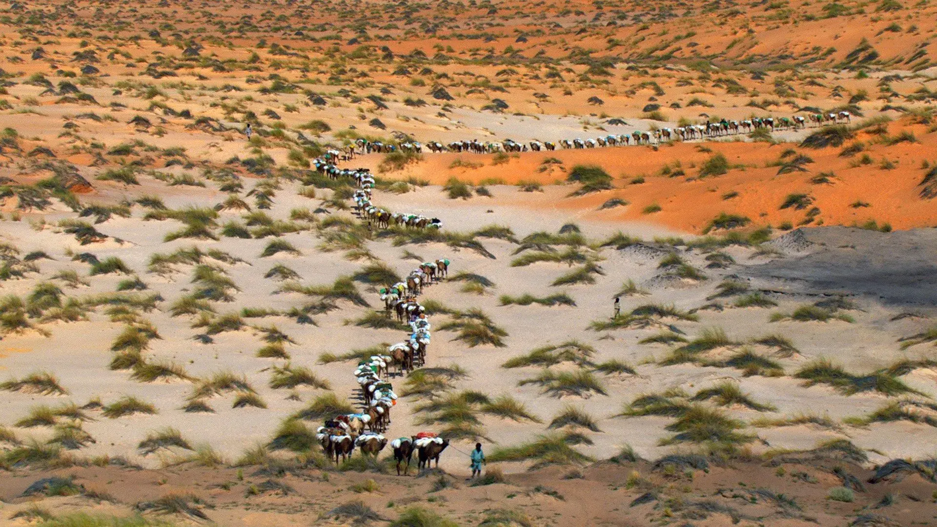 Home - Nosso Planeta, Nossa Casa