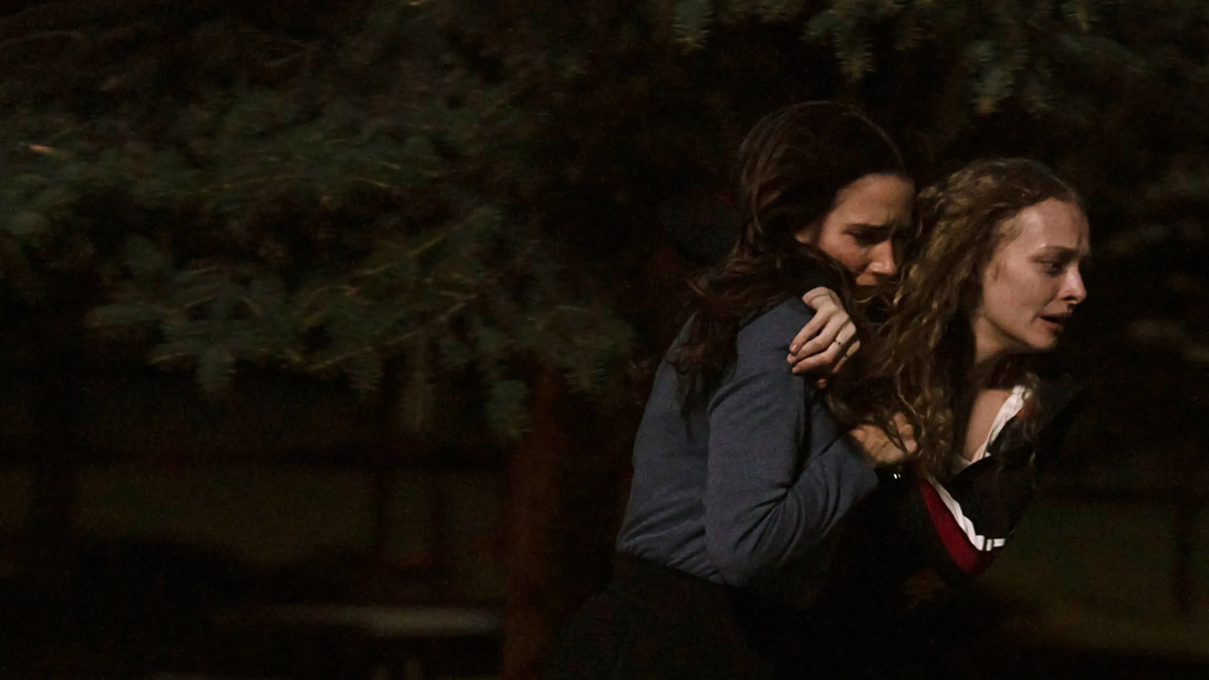 O Estranho na Minha Casa