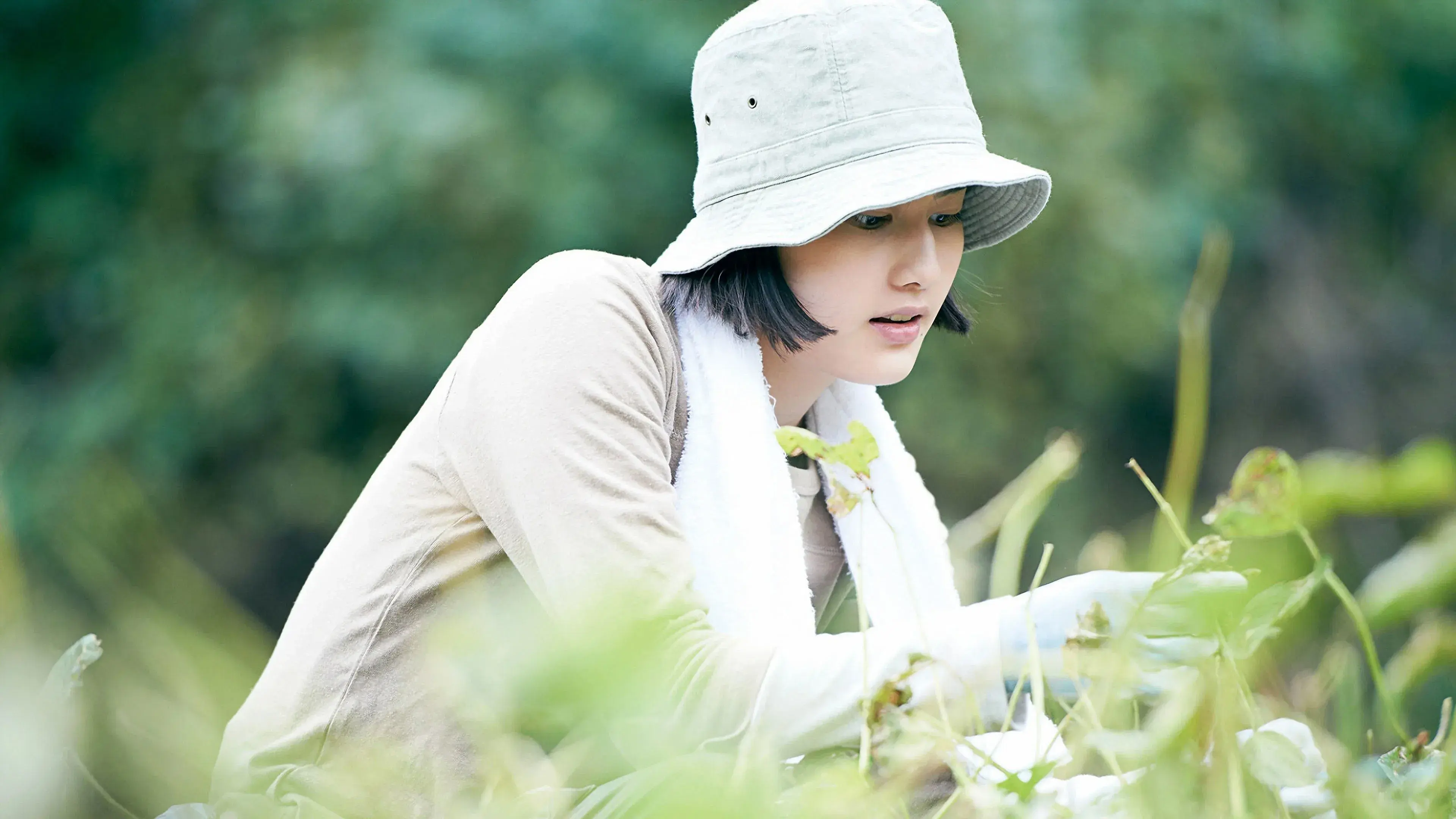 Pequena Floresta: Verão/Outono