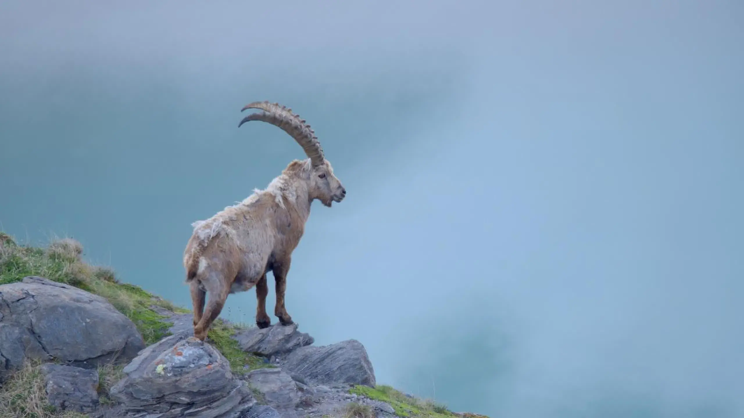 Naturerbe Österreich - Die Nationalparks