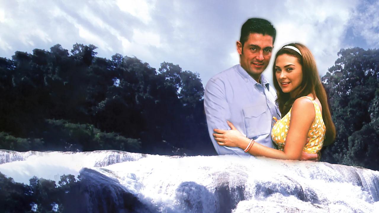 Abraça-me Muito Forte