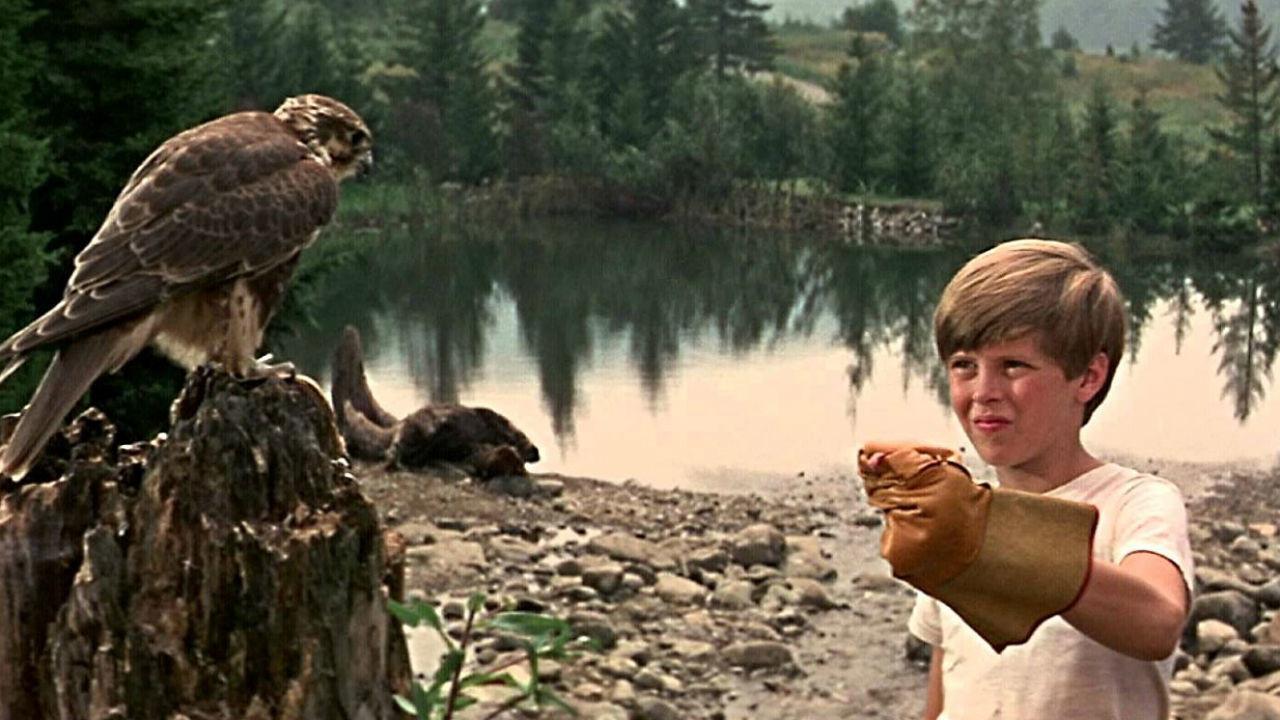 Minha Montanha Encantada