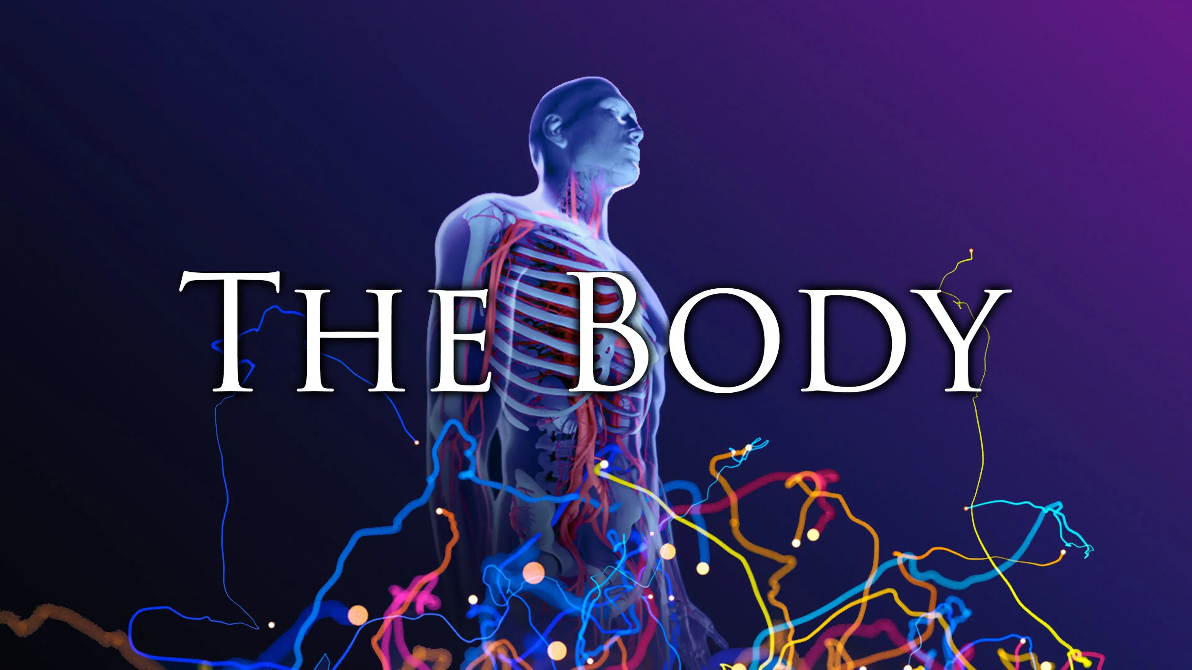 The Body