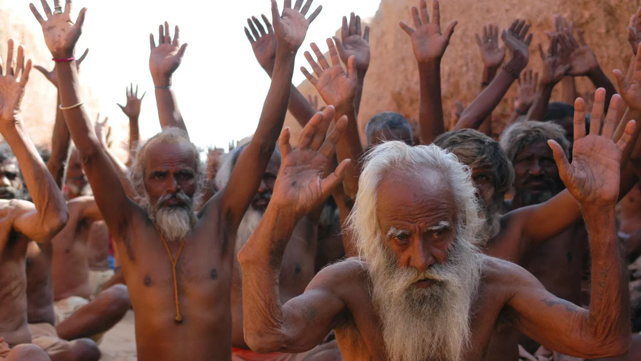 فریاد مورچه‌ها