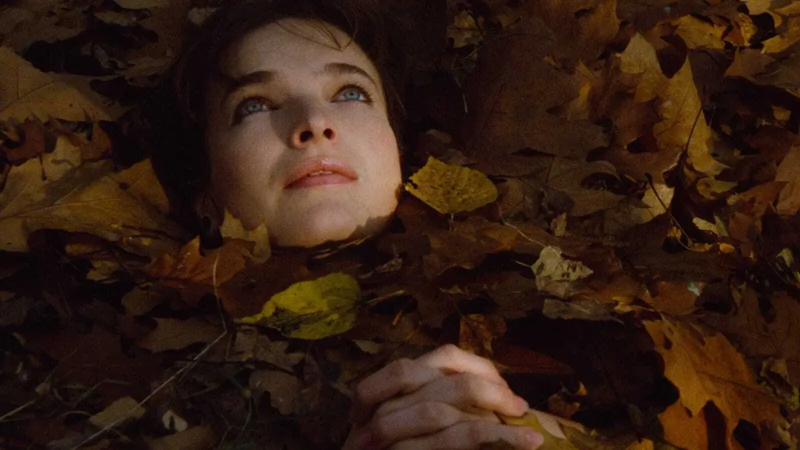 Diário para Meus Amores