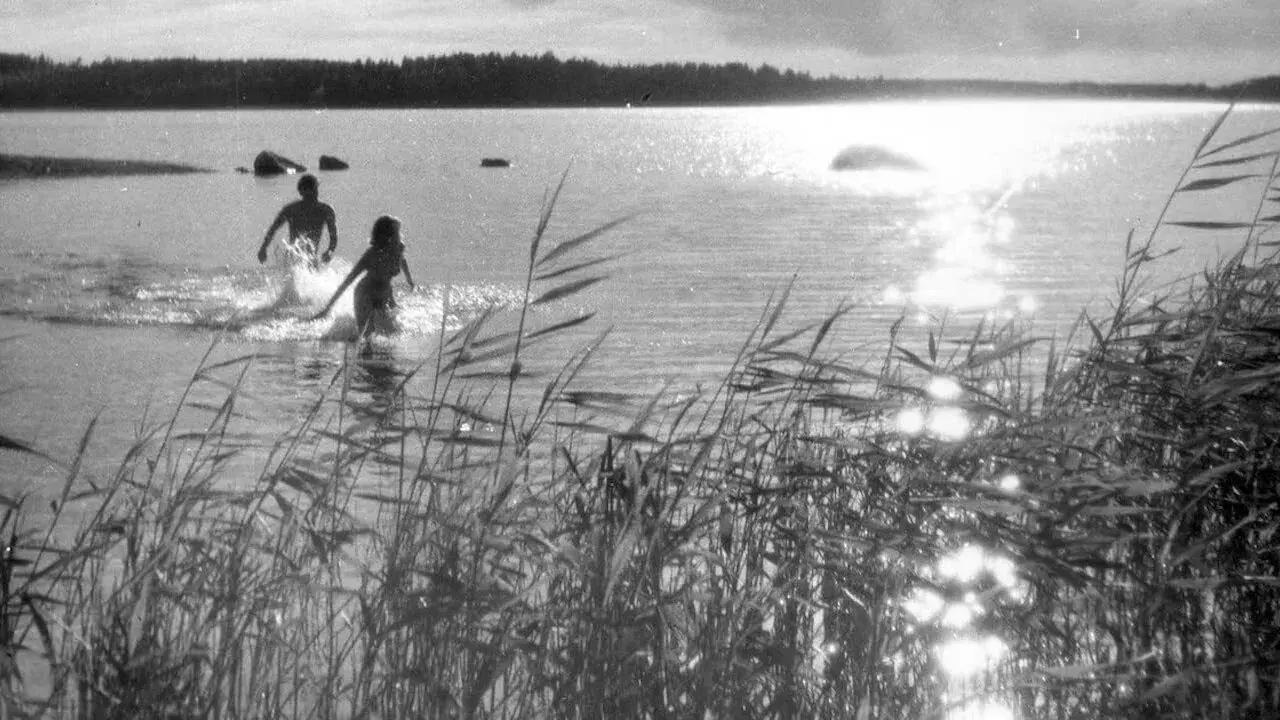 A Última Felicidade