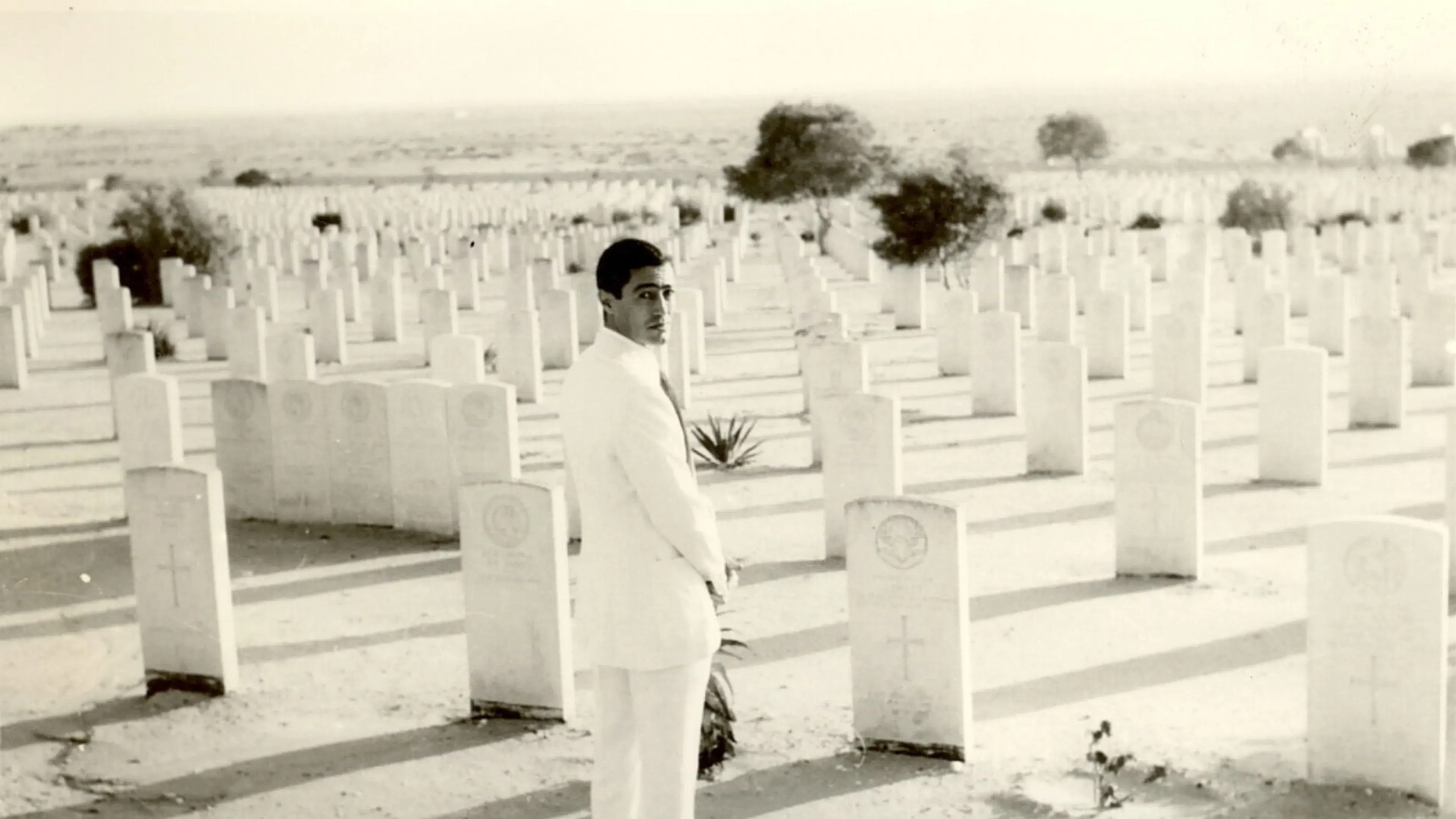 Alexandria: Por quê?