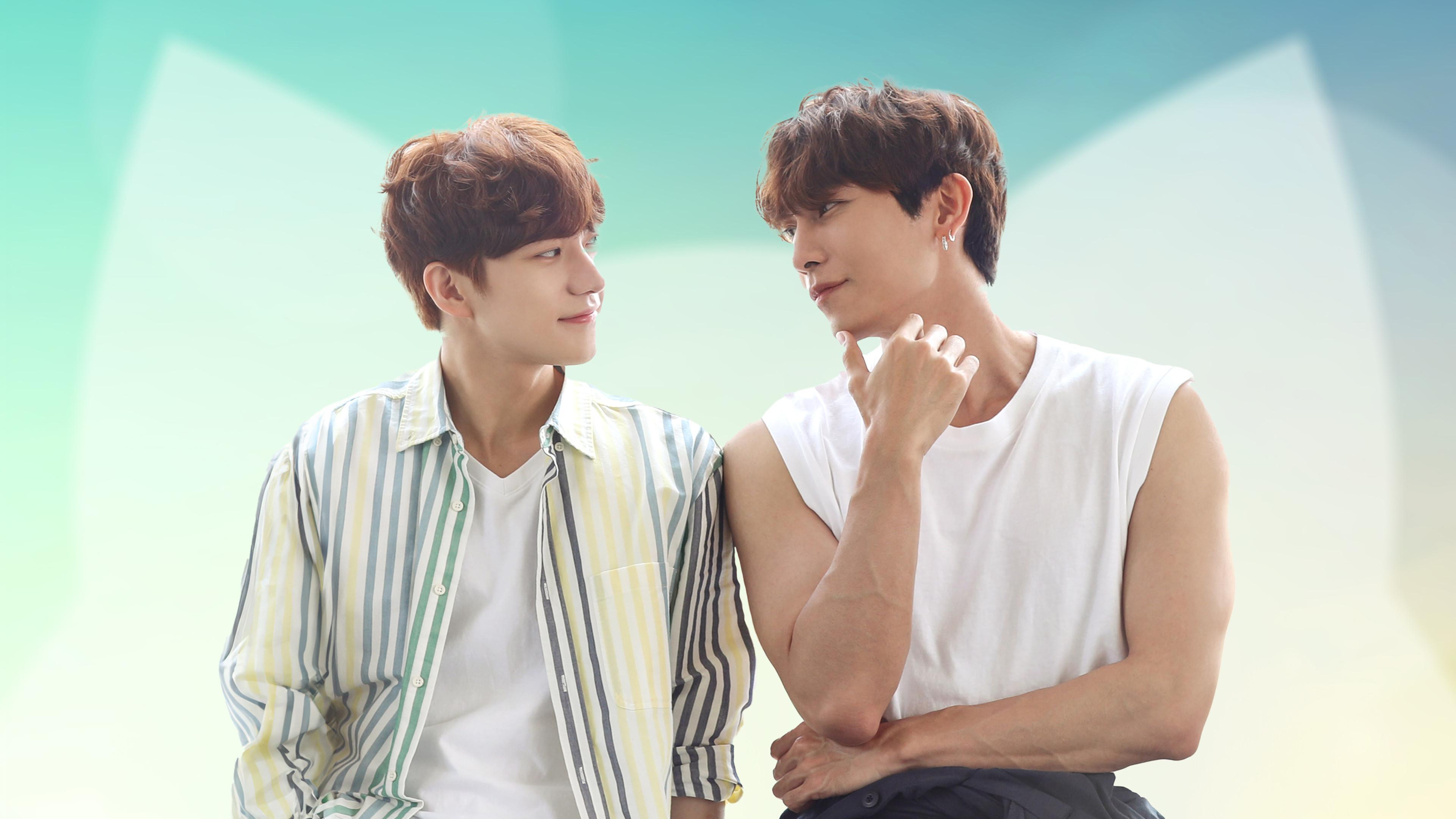 O Amor é Como um Gato