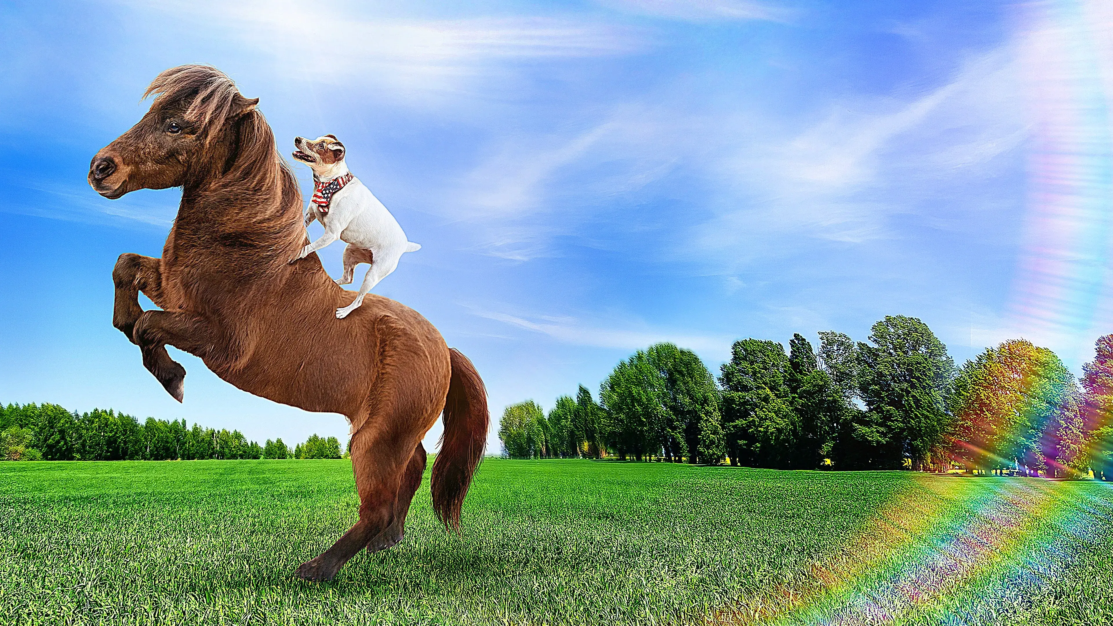 Dally e Spanky: Uma Amizade Improvável