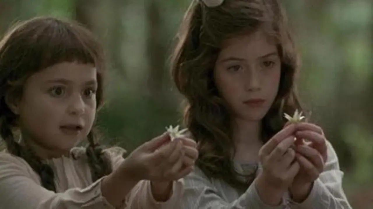 Photographing Fairies