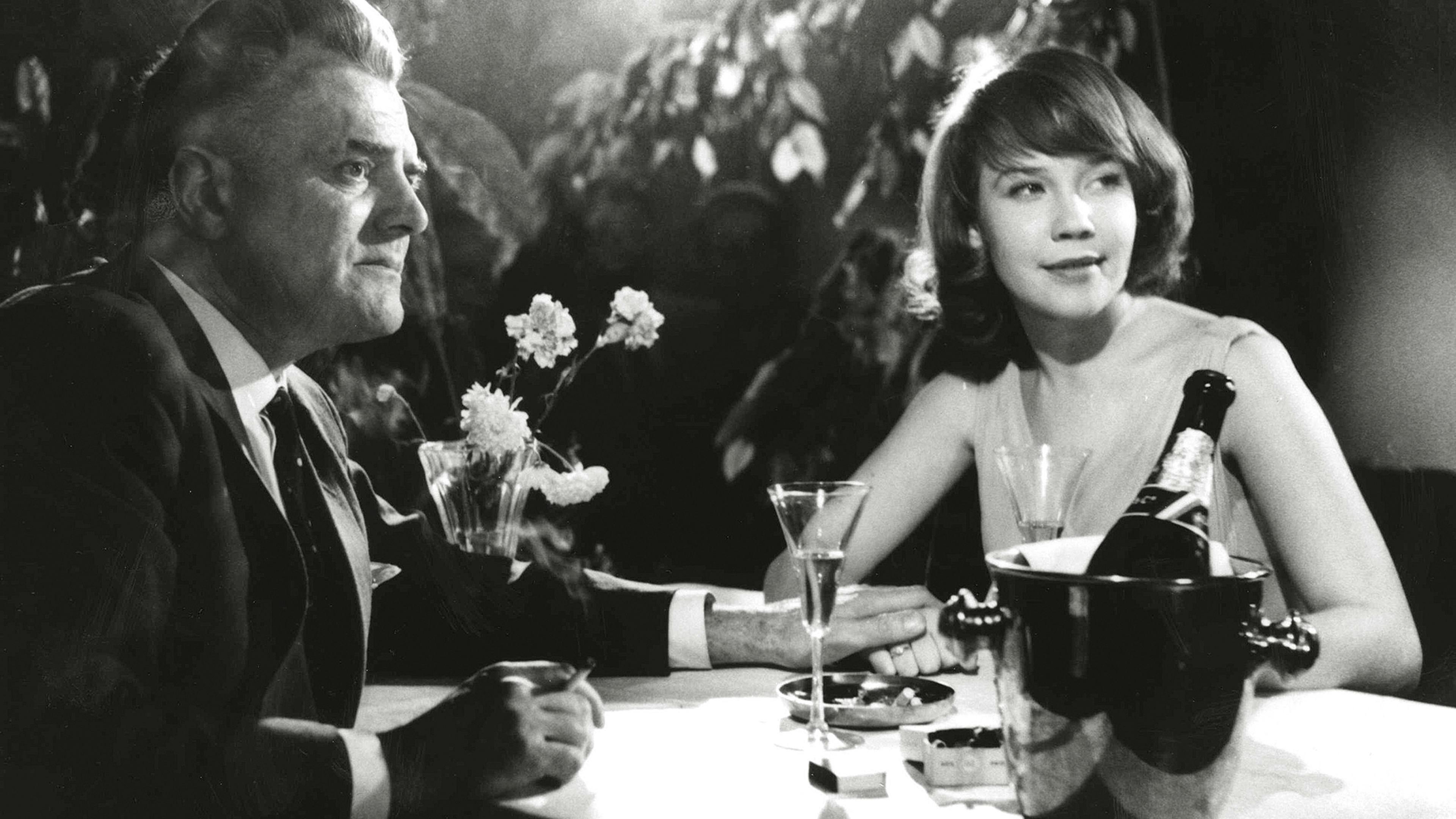 Tulipunainen kyyhkynen