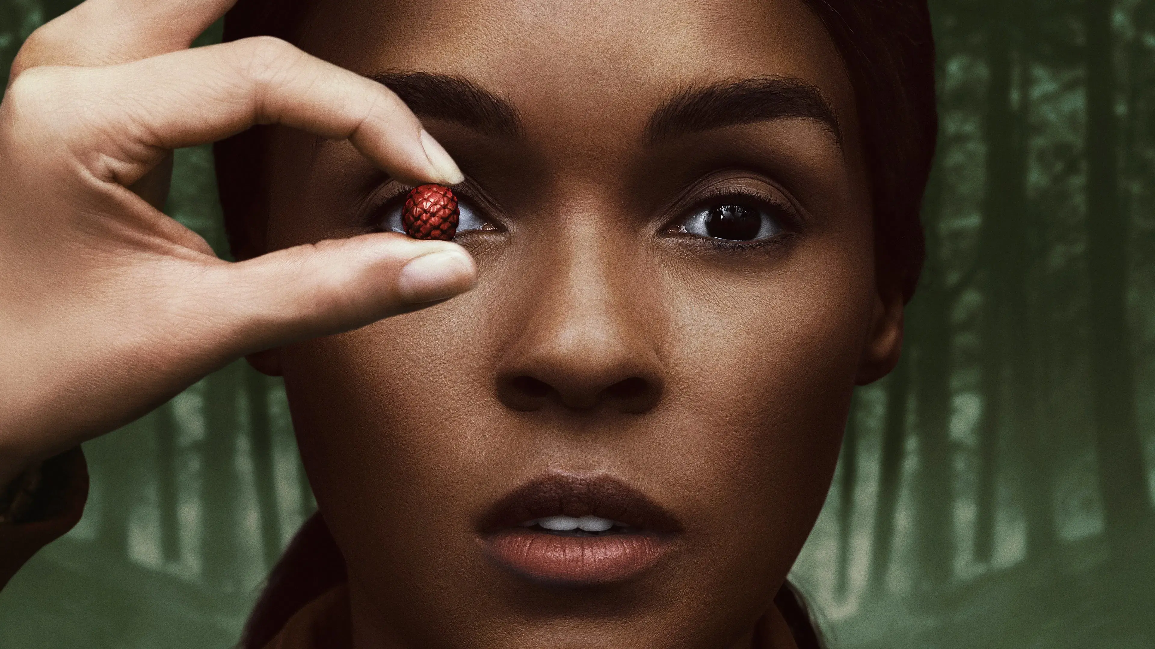 Homecoming: De Volta à Pátria