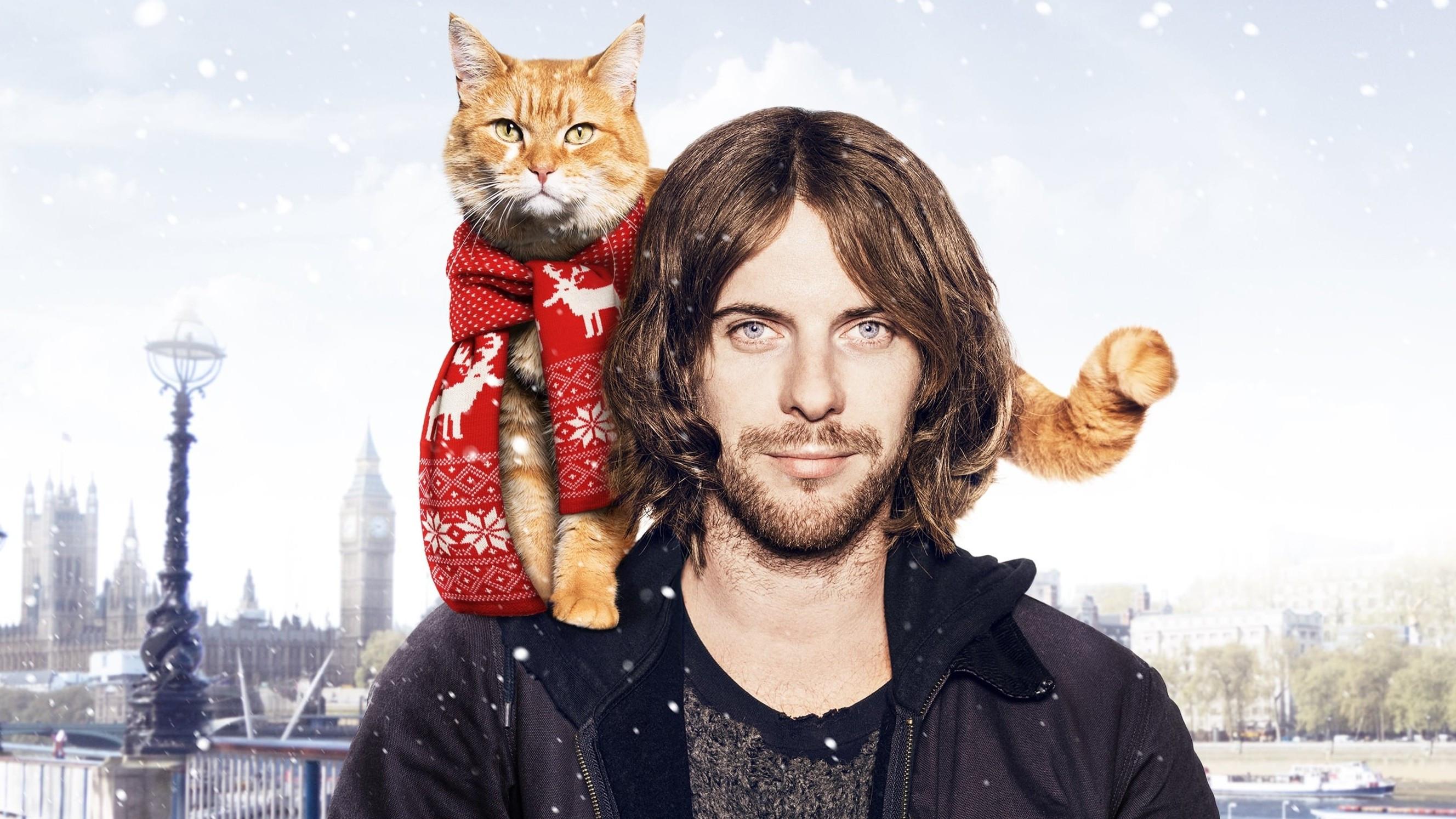 Um Gato de Rua Chamado Bob