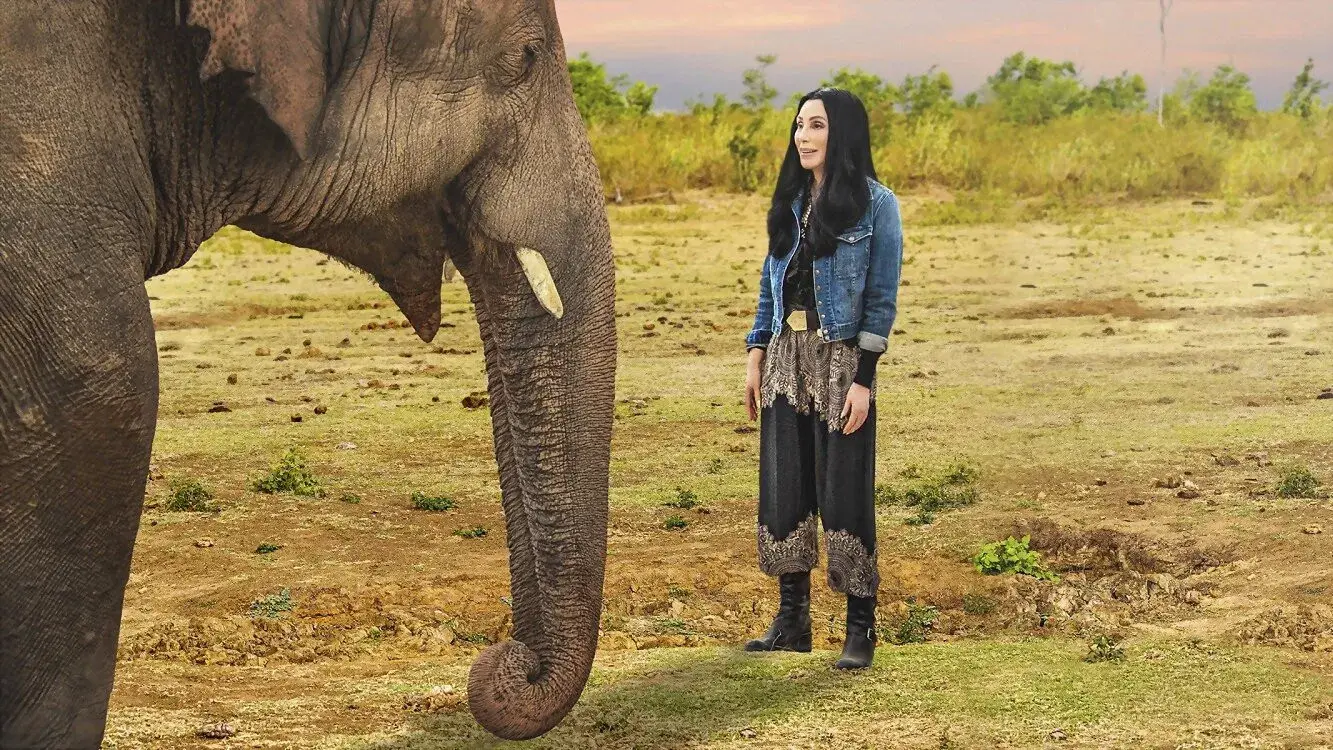 Cher e o Elefante Solitário