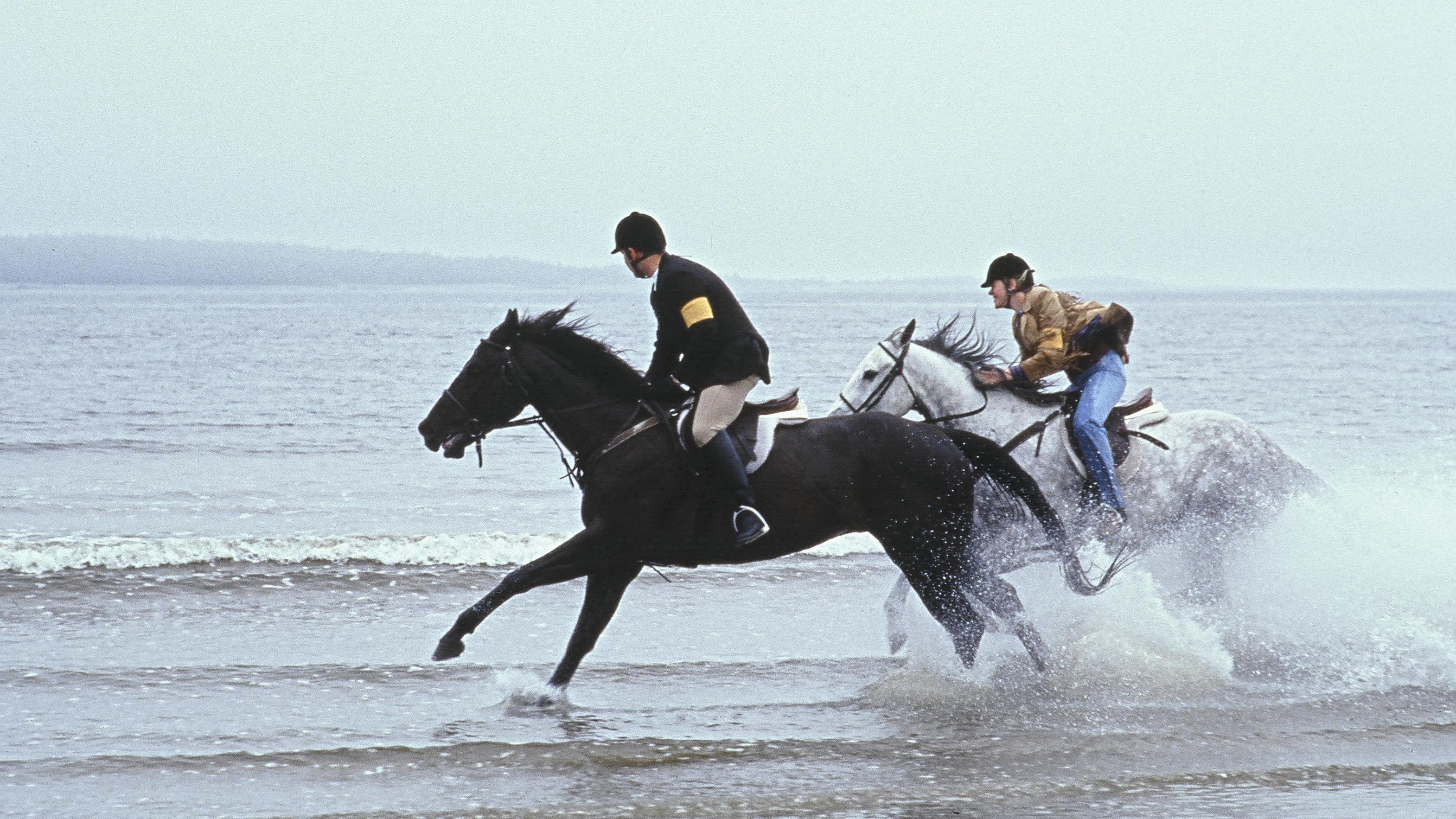 Um Caminho Para Virginia