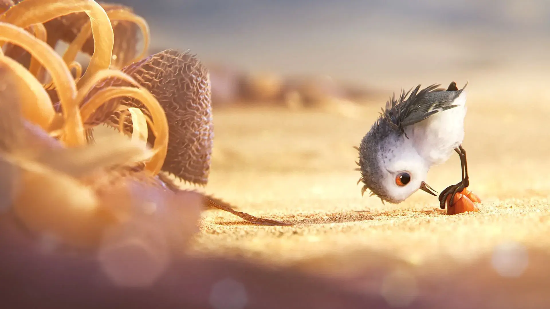 Piper: Descobrindo o Mundo