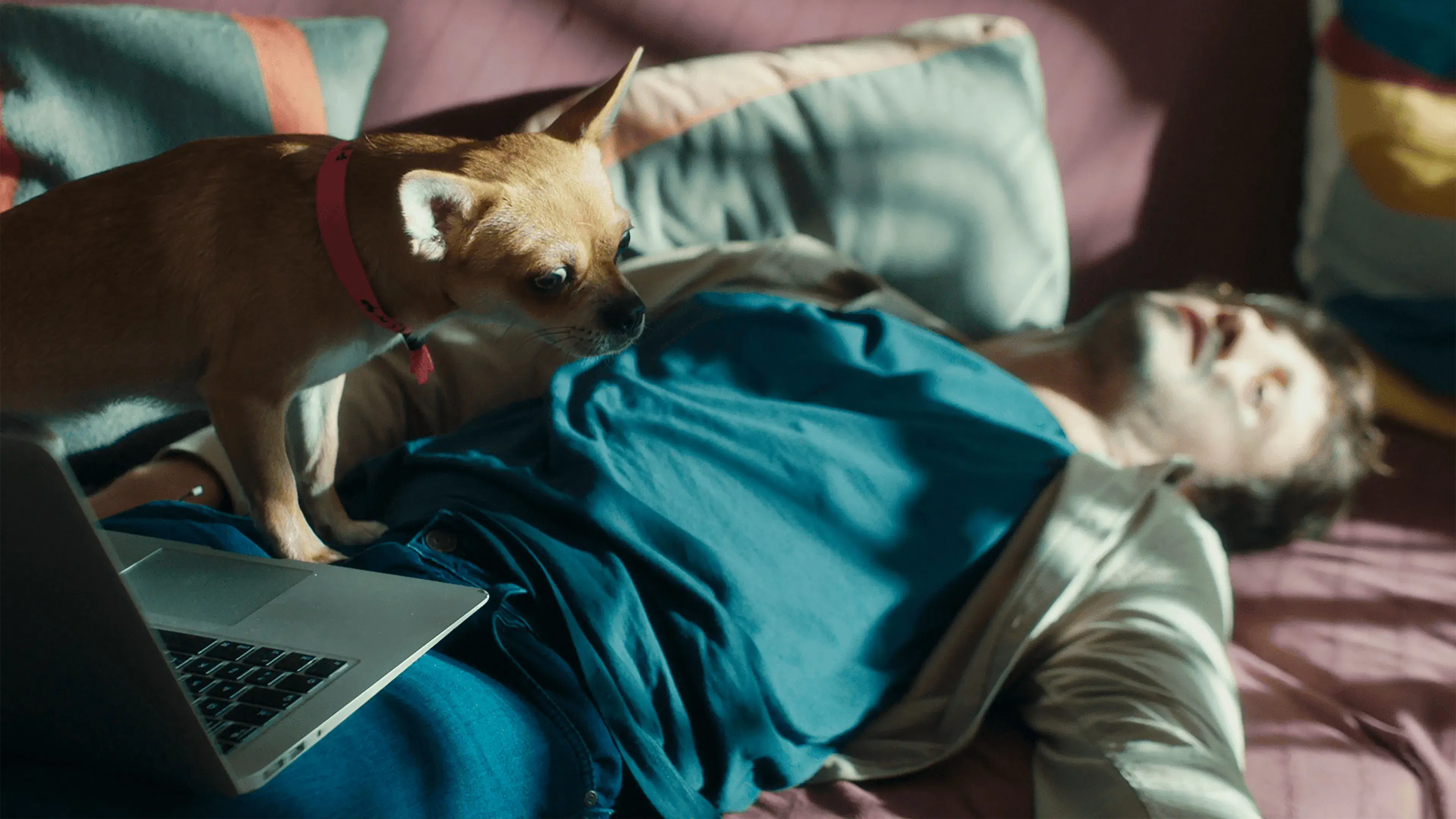 Hayaller, Umutlar ve Dönen Yunuslar