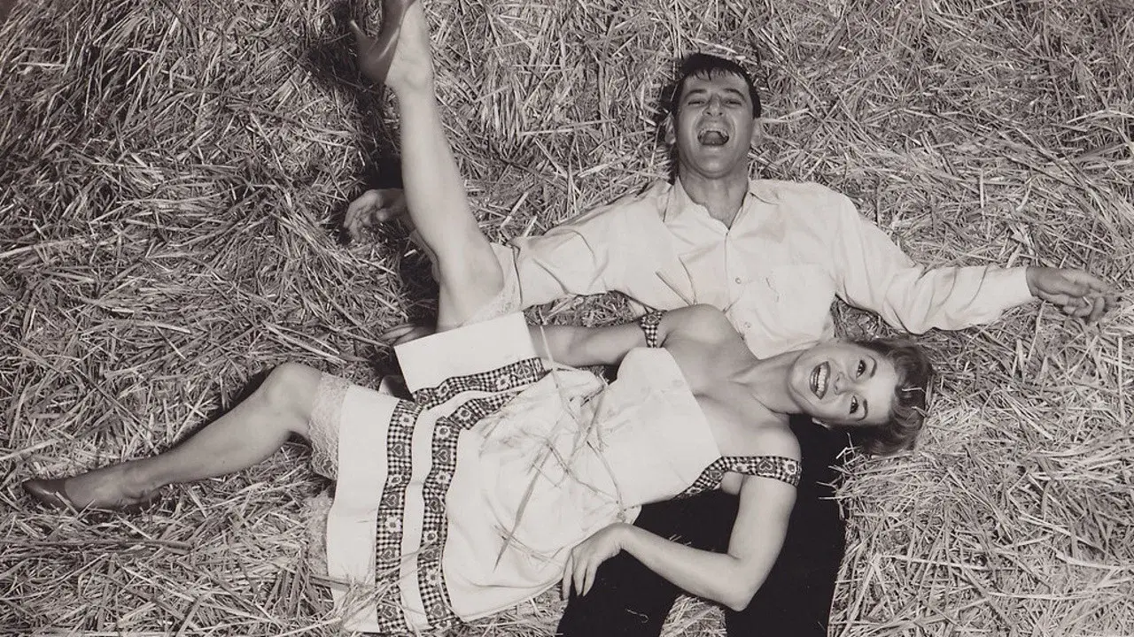 Como Fisgar um Marido