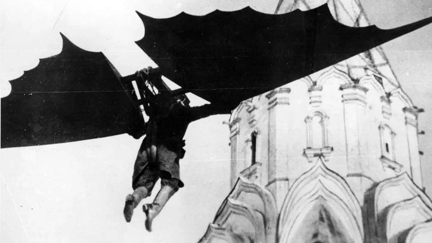 Крылья холопа