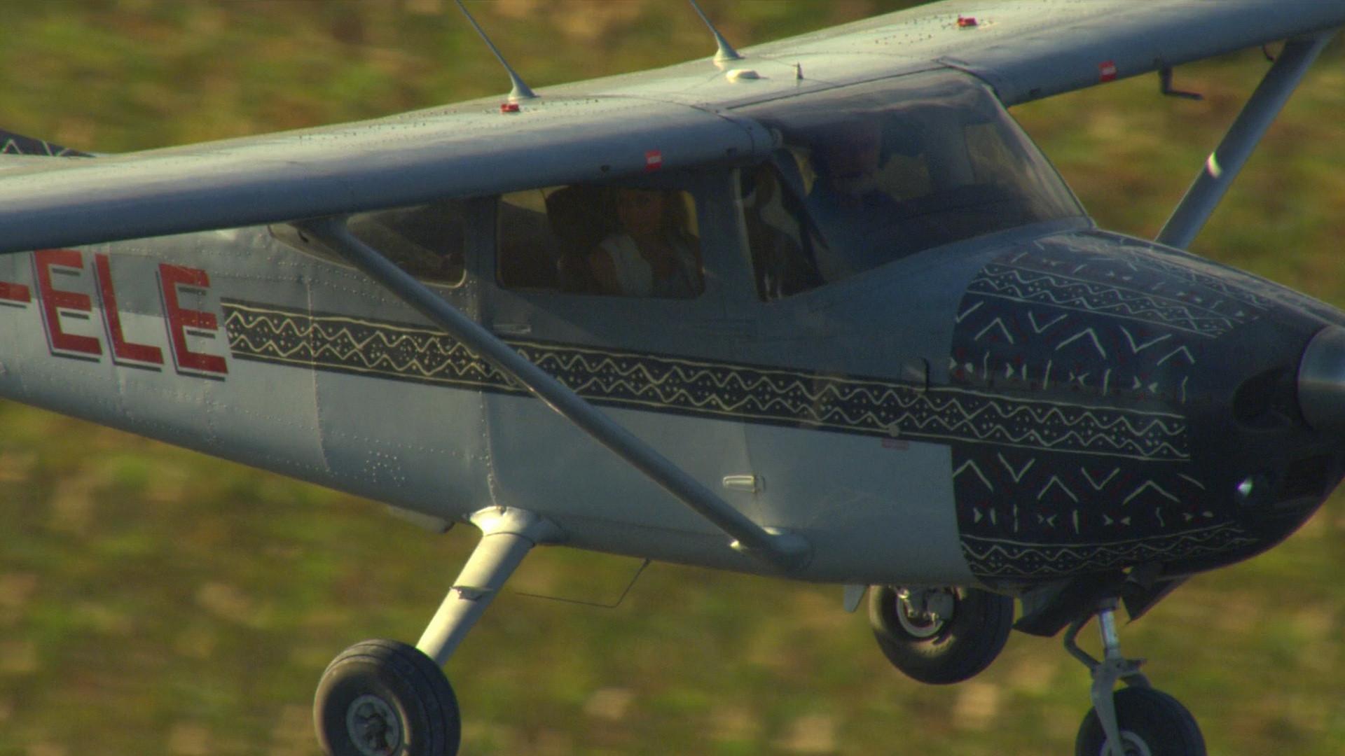 Odisséia dos Grandes Felinos