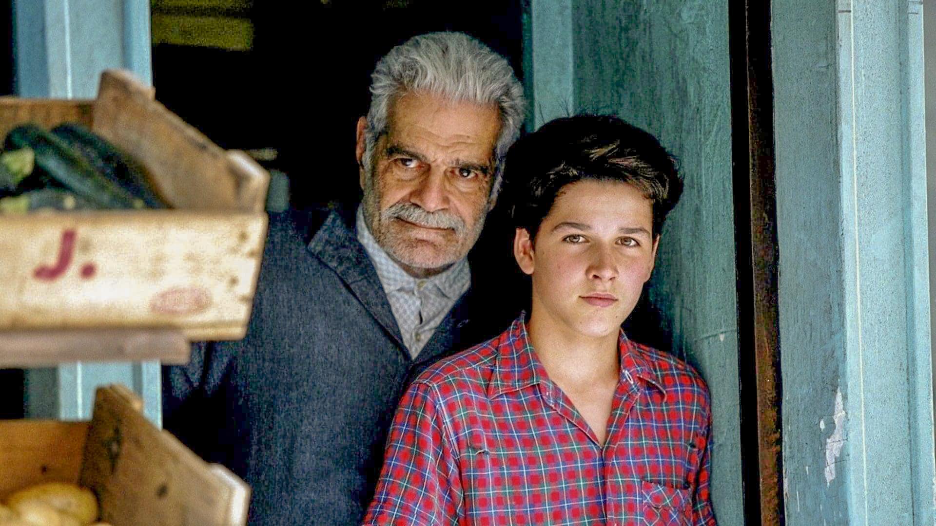 Uma Amizade Sem Fronteiras