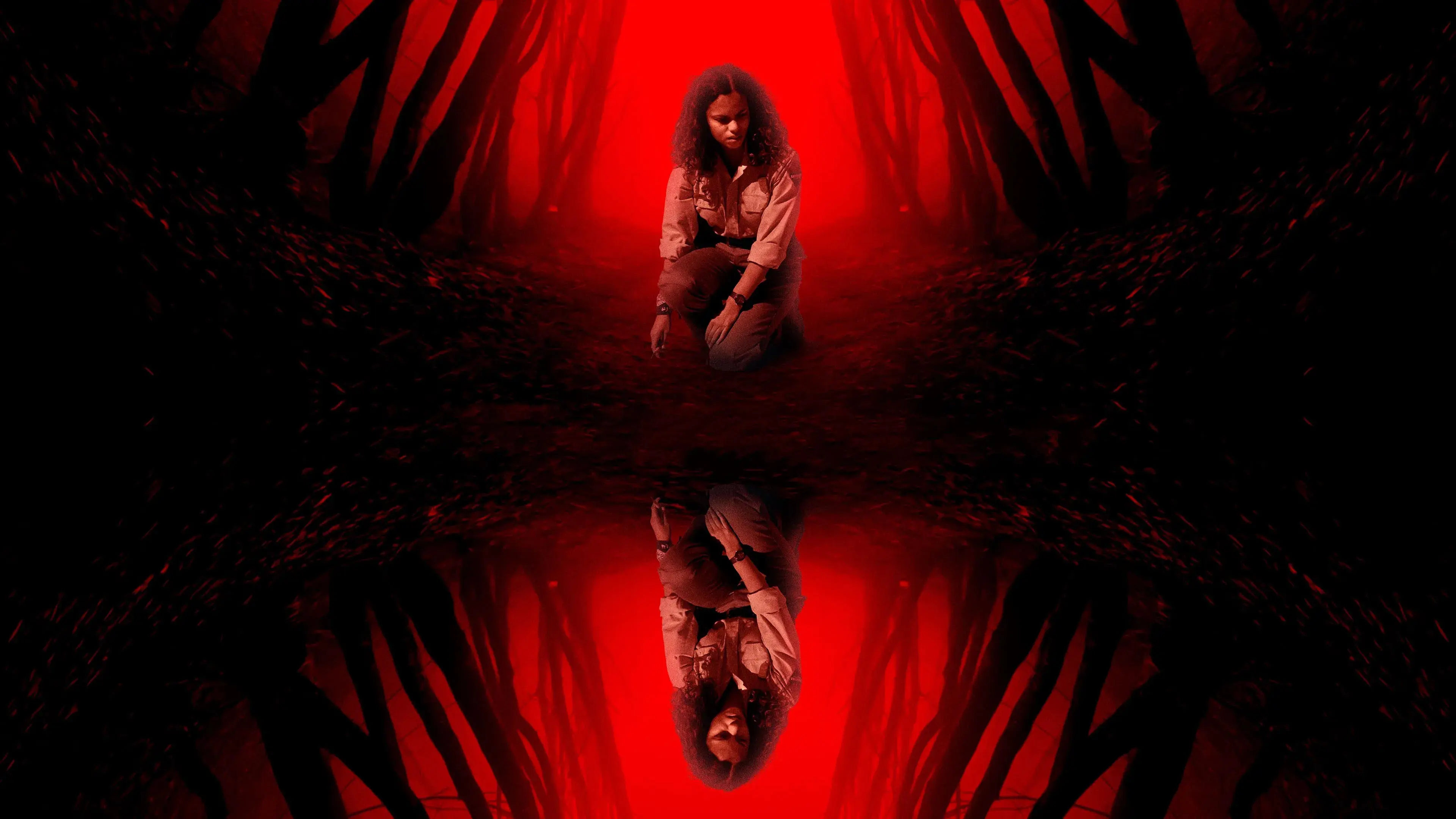 Uma Floresta Misteriosa