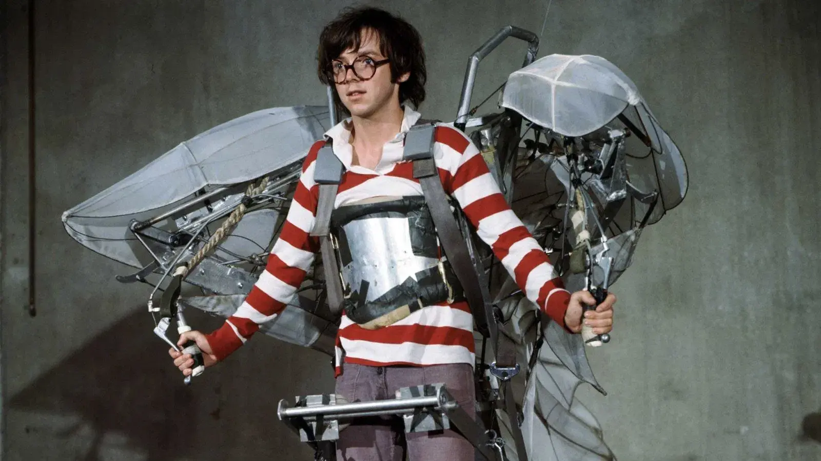 Voar é com os Pássaros