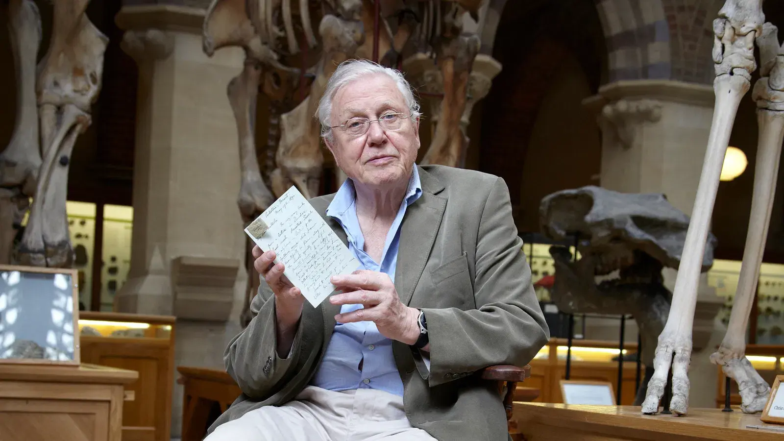 Curiosidades da Natureza com David Attenborough