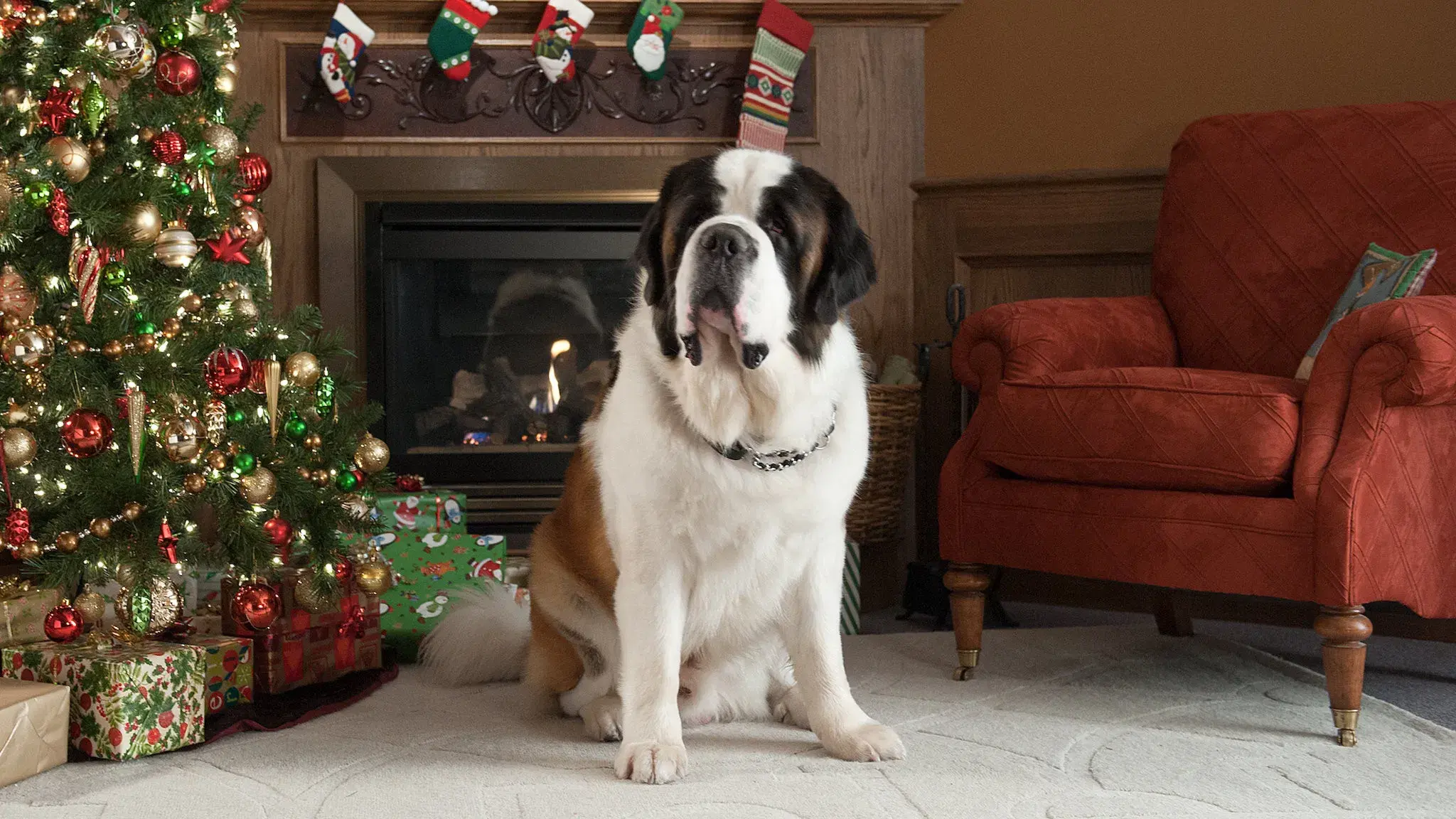 Beethoven: Aventura de Natal