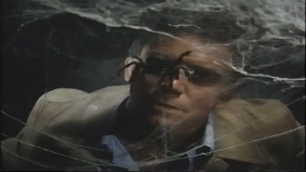 A Maldição da Viúva Negra