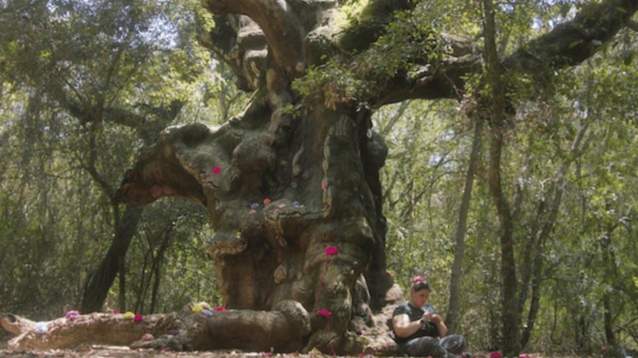 Valentina e i MUOStri