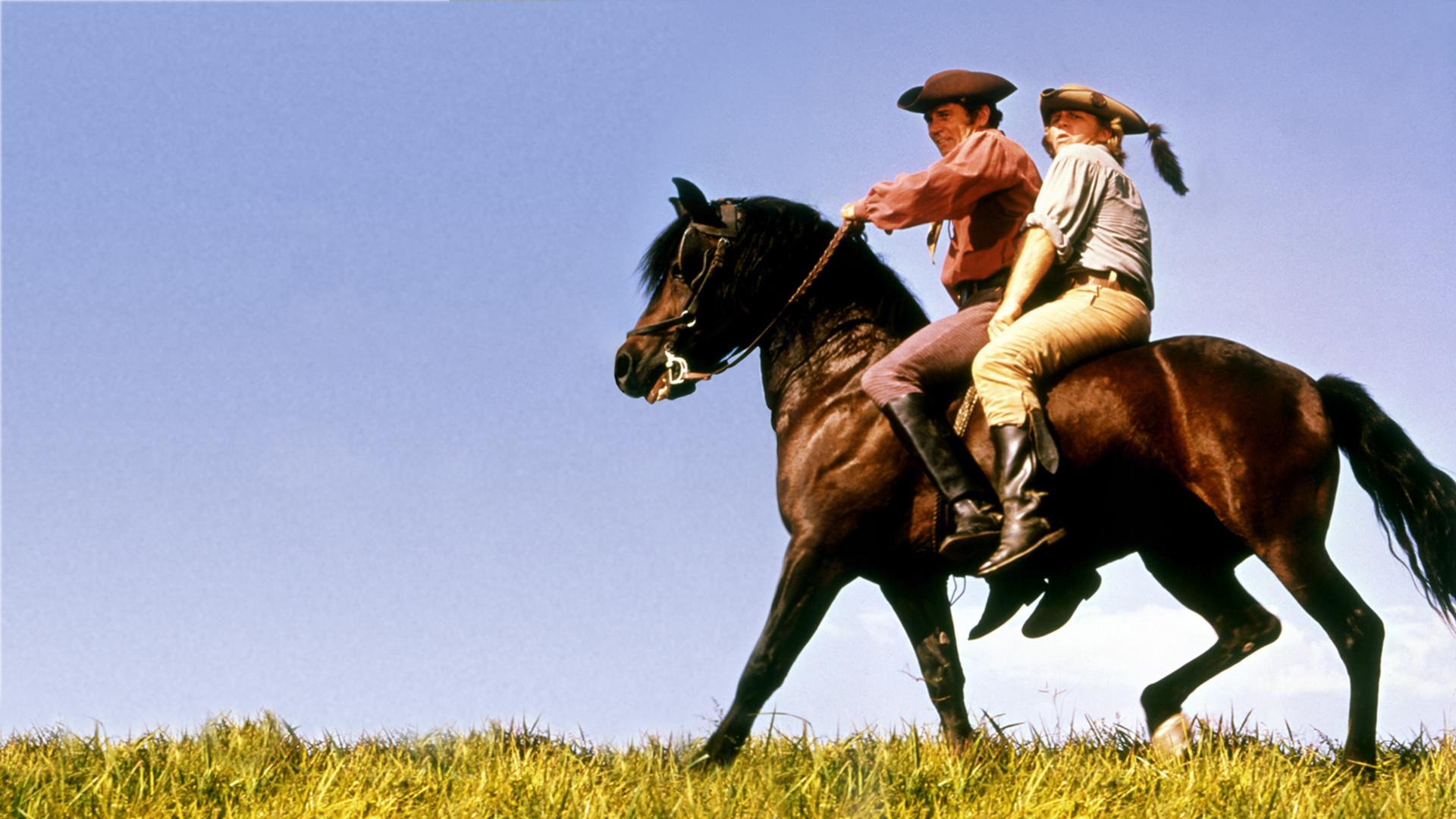 Justin Morgan Tinha um Cavalo