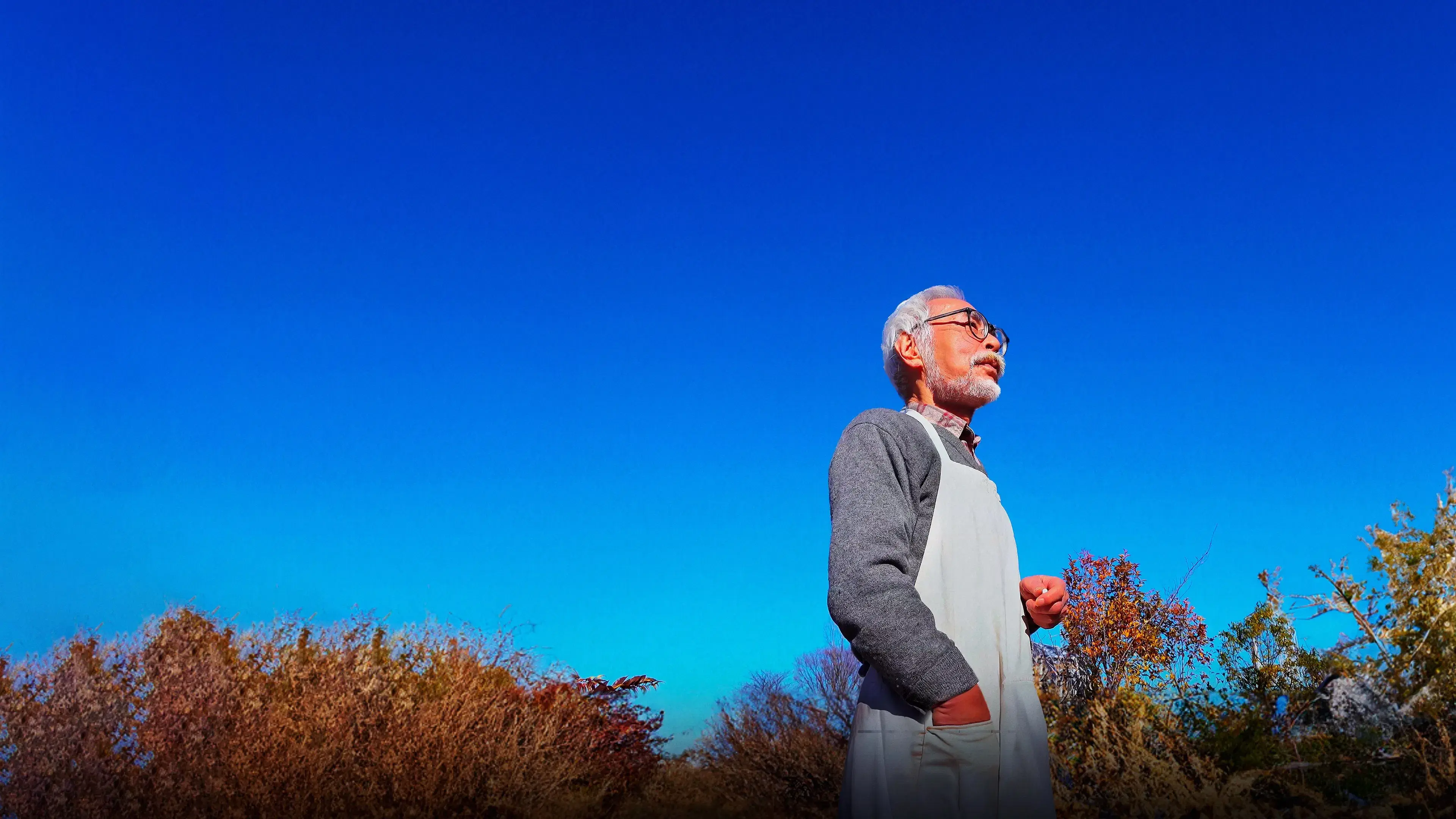 Hayao Miyazaki e a Garça