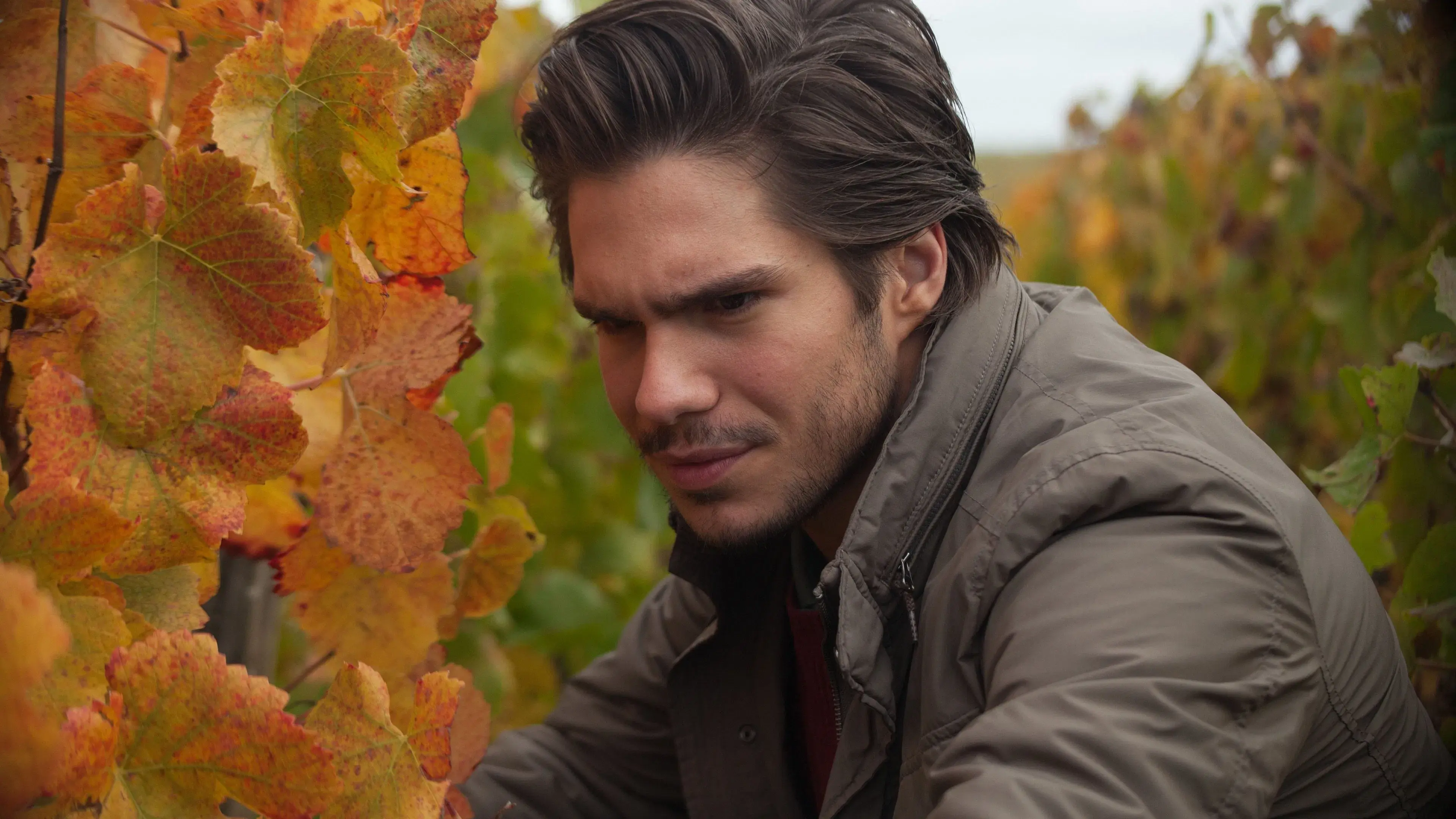 De volta à Borgonha