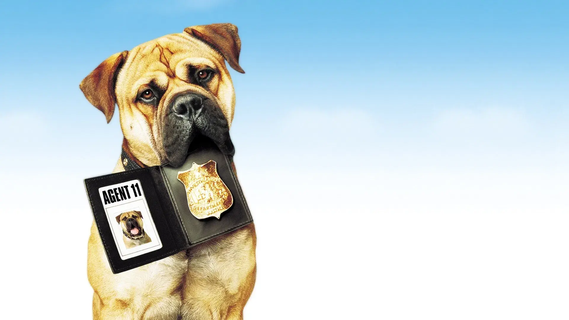 Spot - Um Cão da Pesada