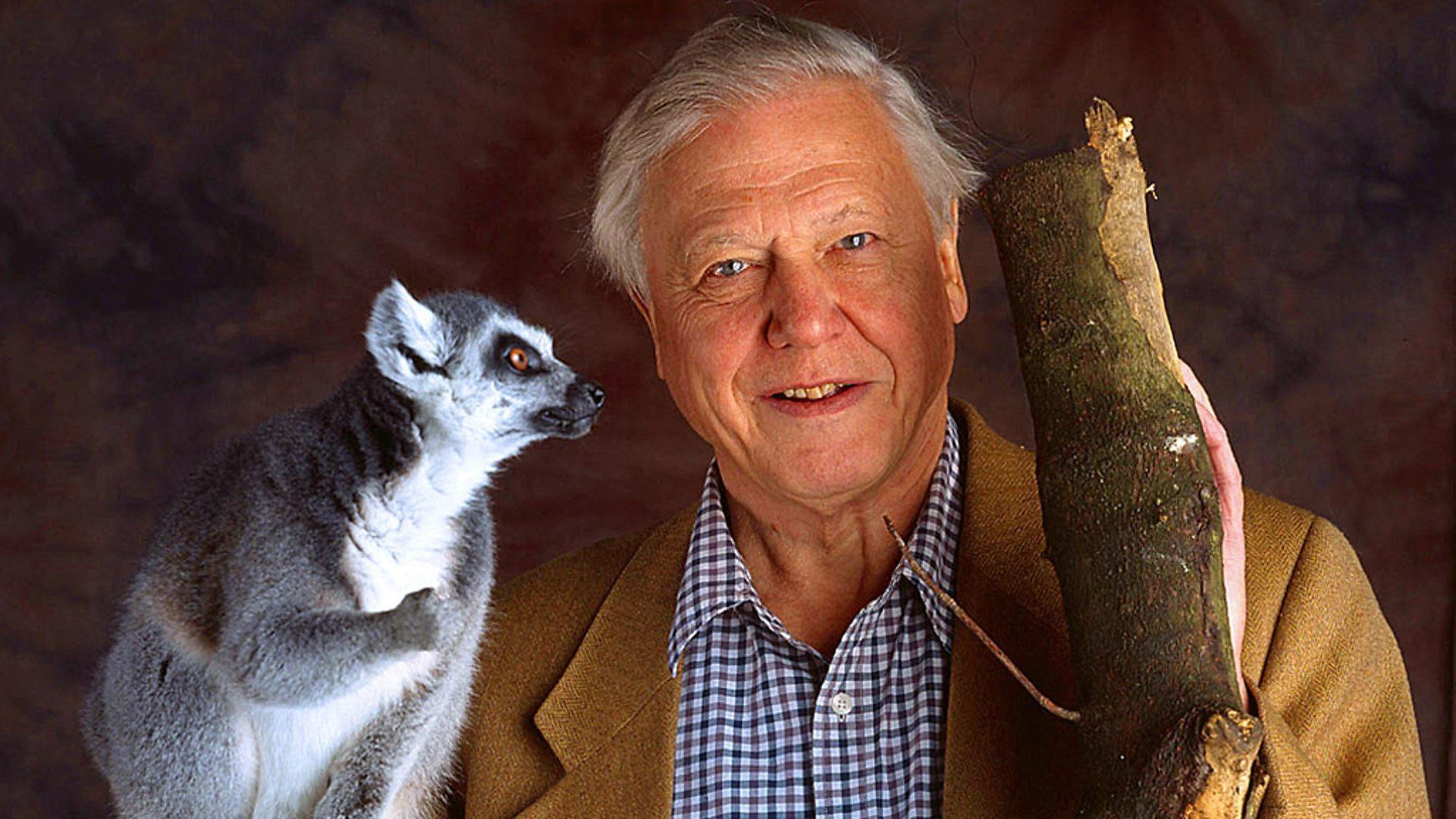 A Vida dos Mamíferos