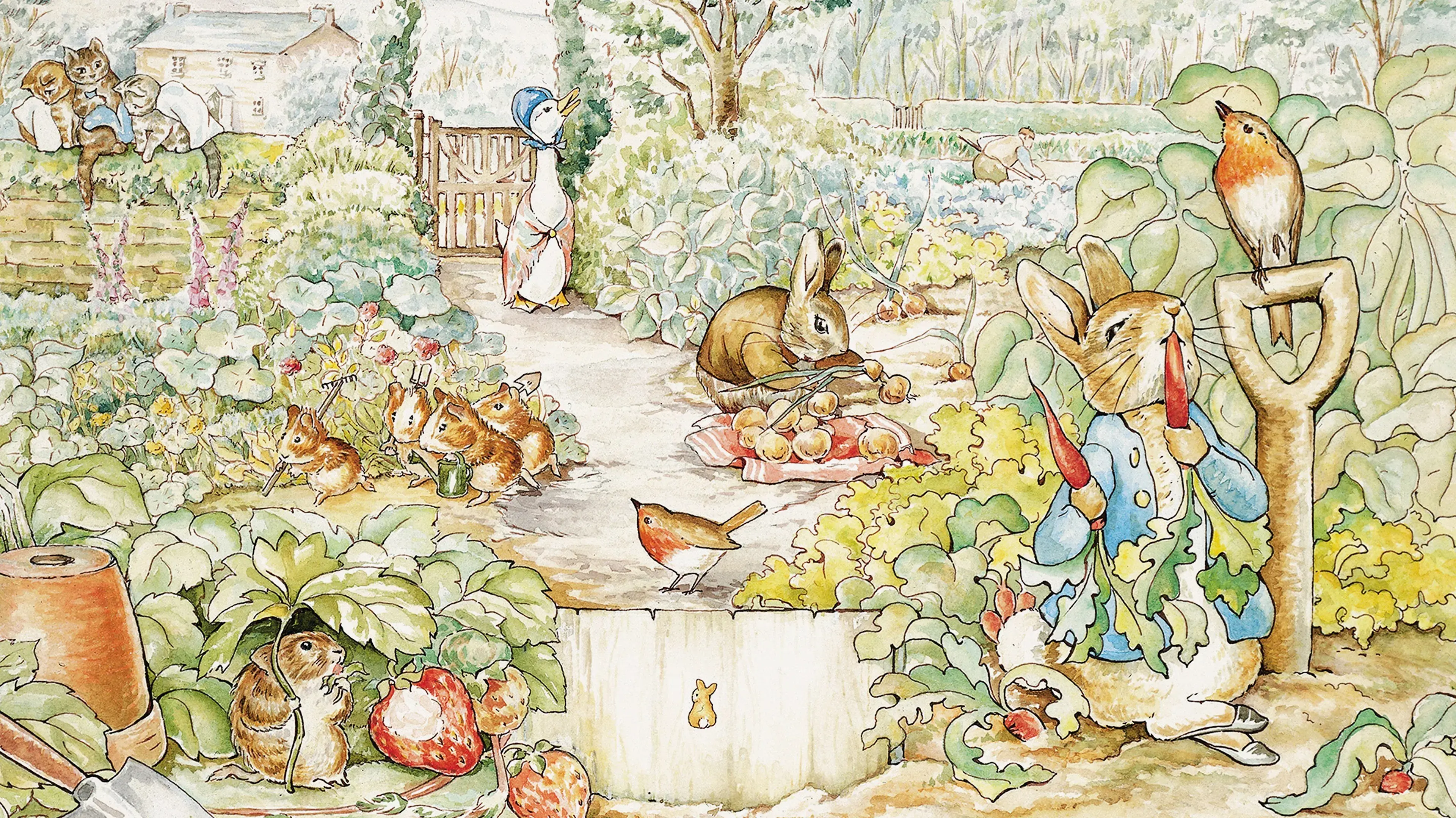 Peter Rabbit e seus Amigos