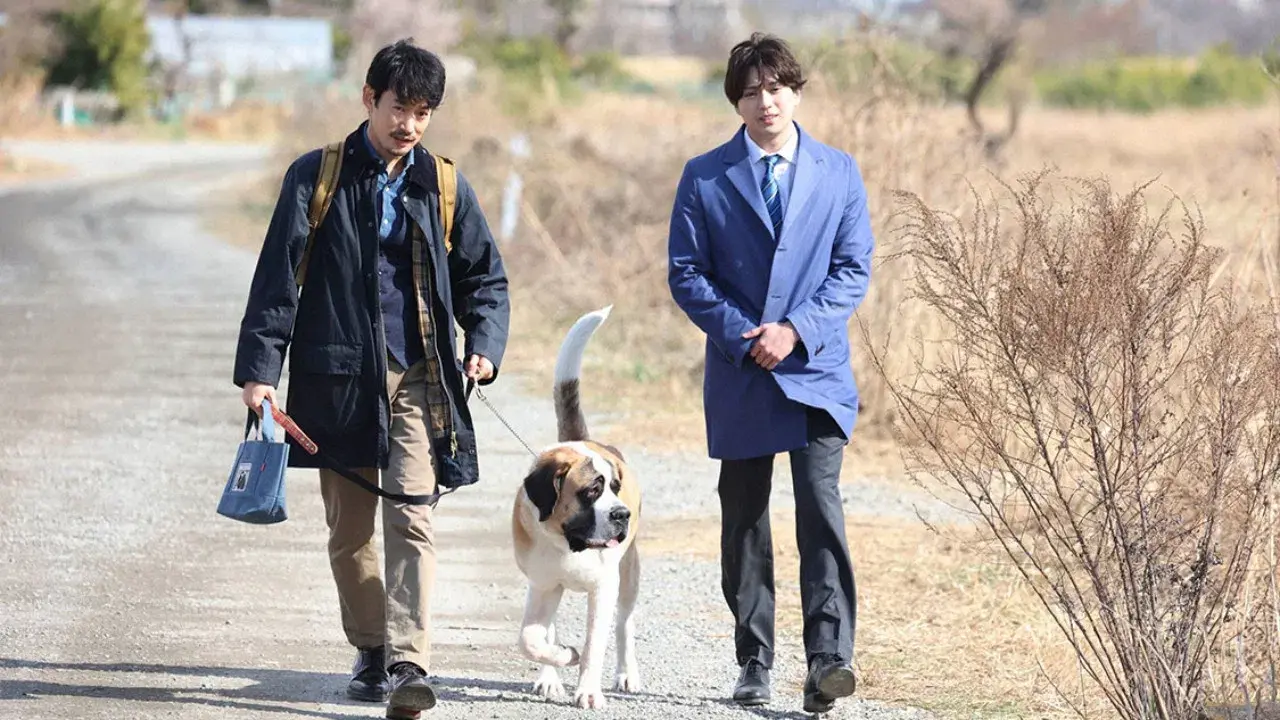 Entre a Lei e a Justiça