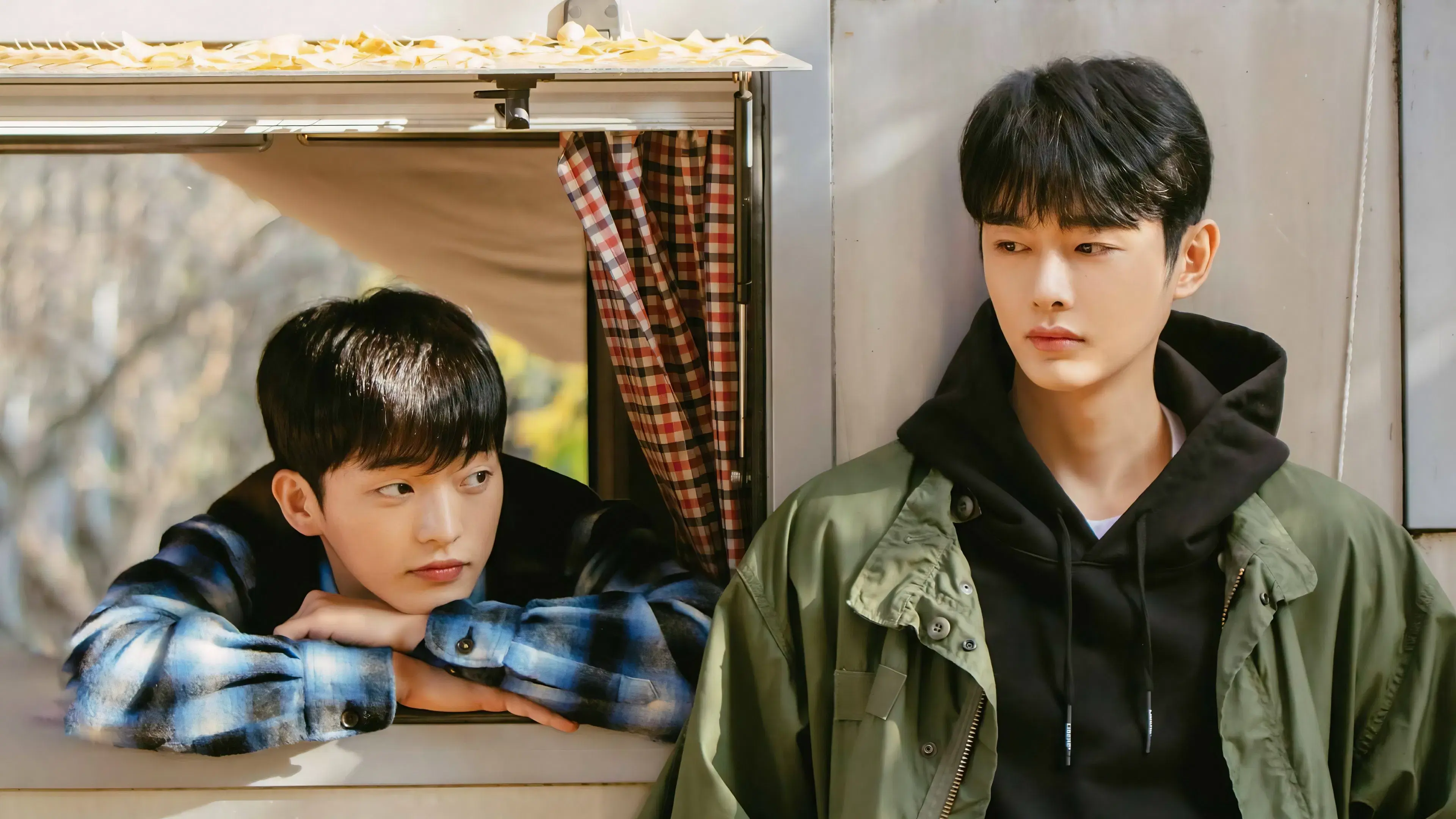 Flores de Cerejeira Depois do Inverno