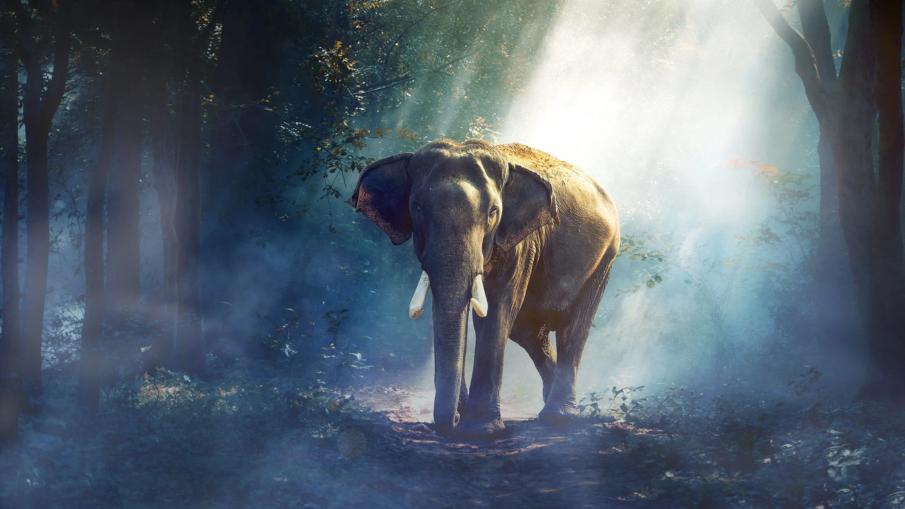 Maravilhas da Linha Equatorial