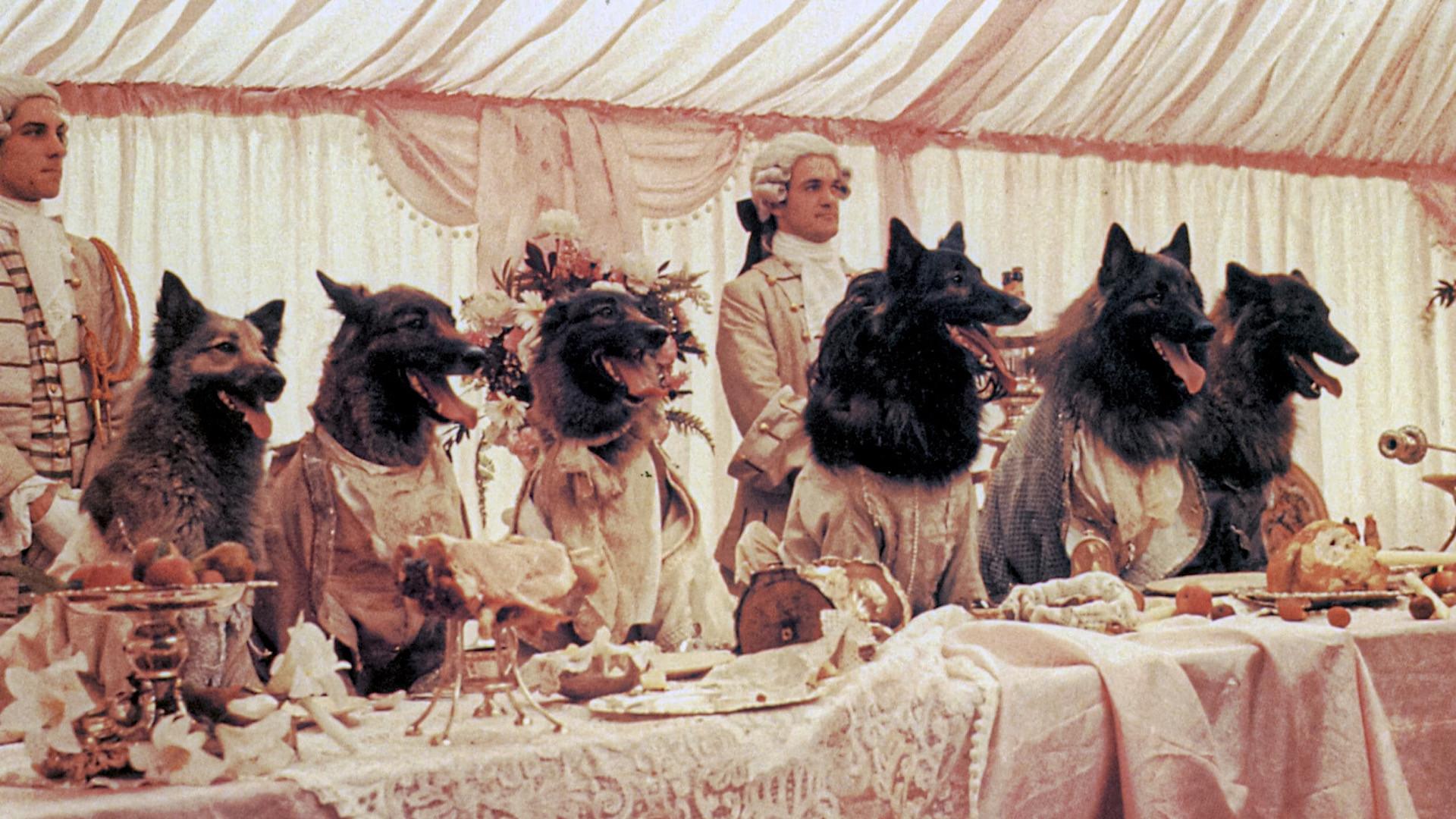 A Companhia dos Lobos