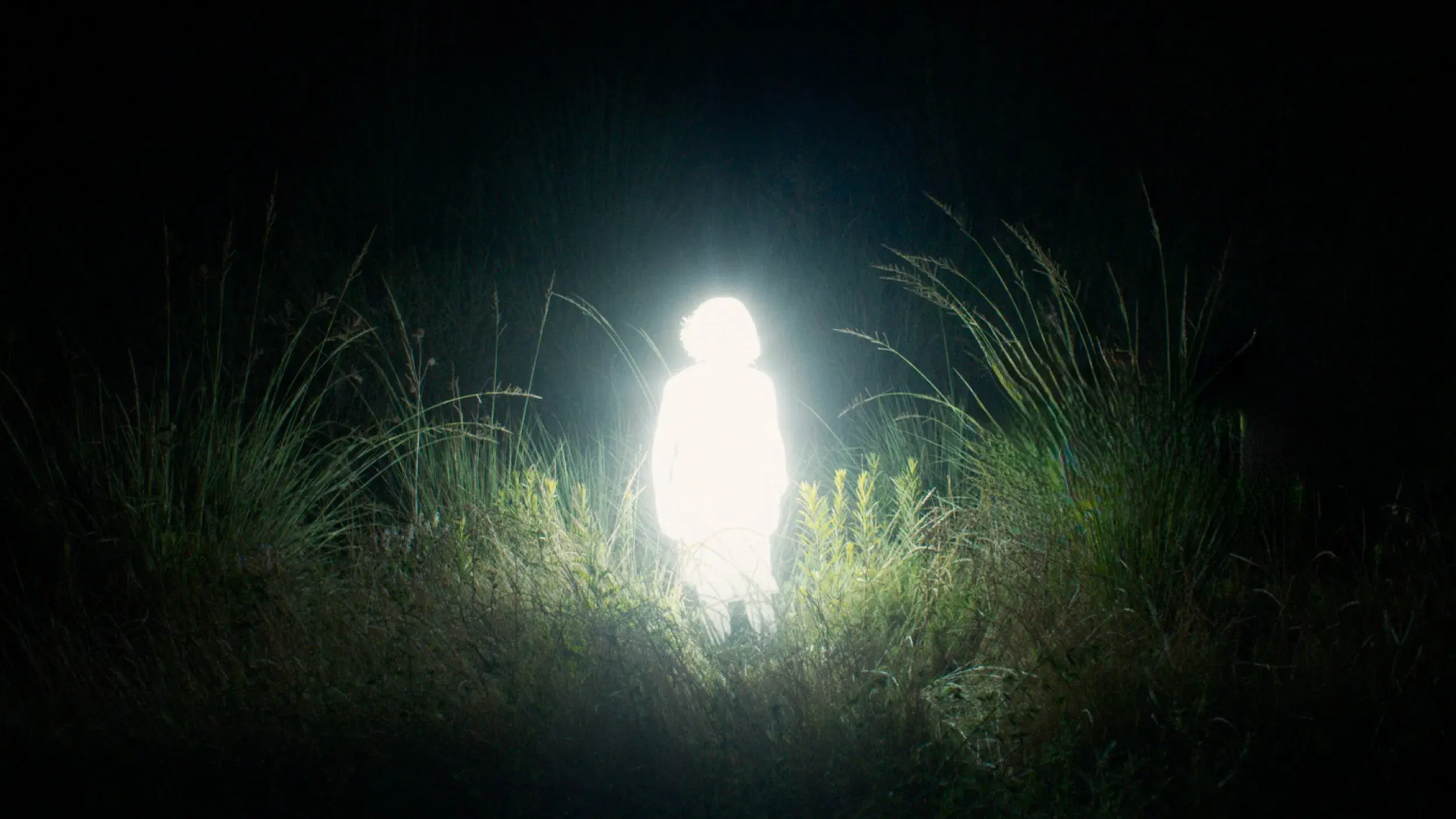 Crónicas de una santa errante