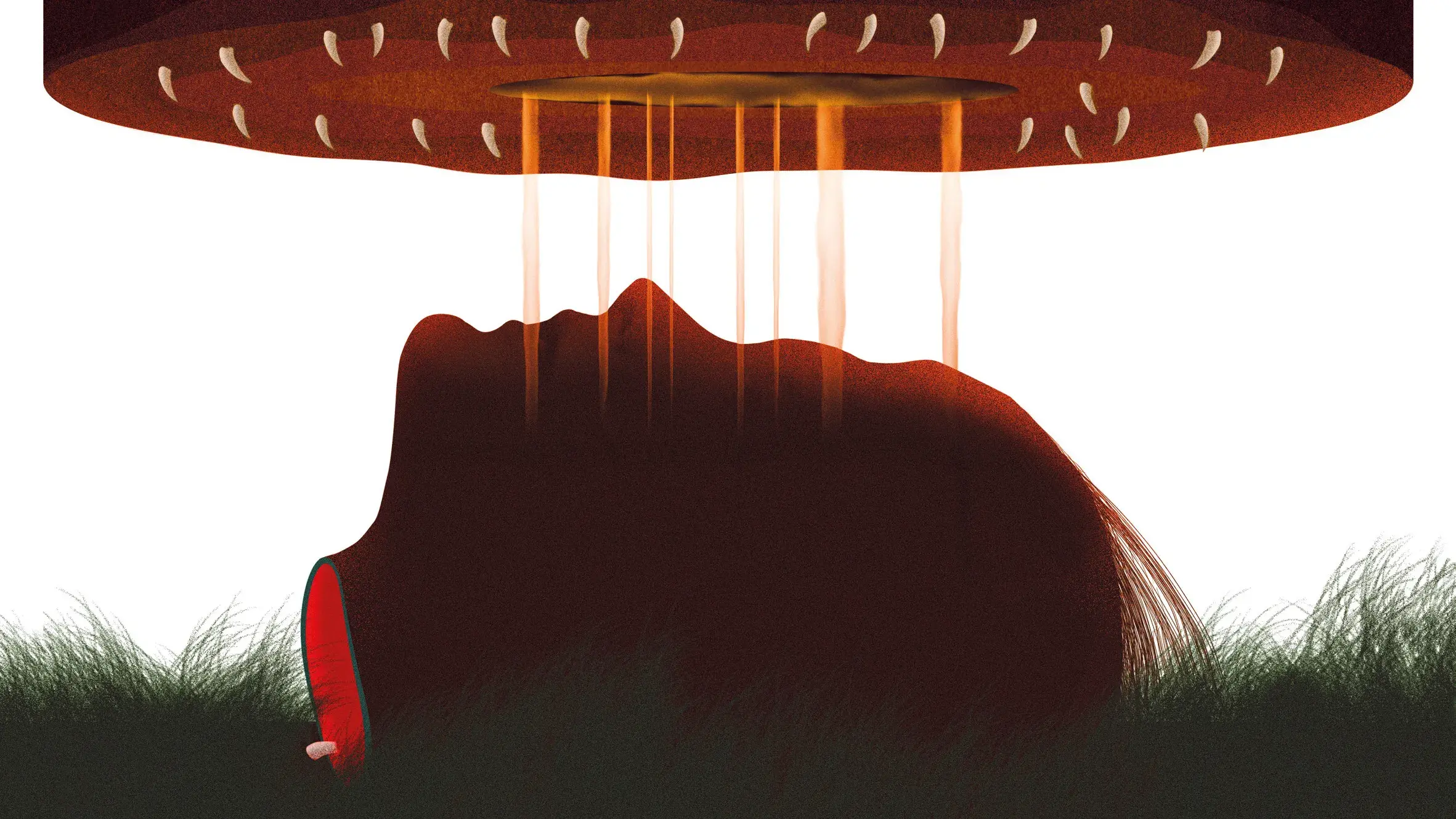 Morra, Monstro, Morra