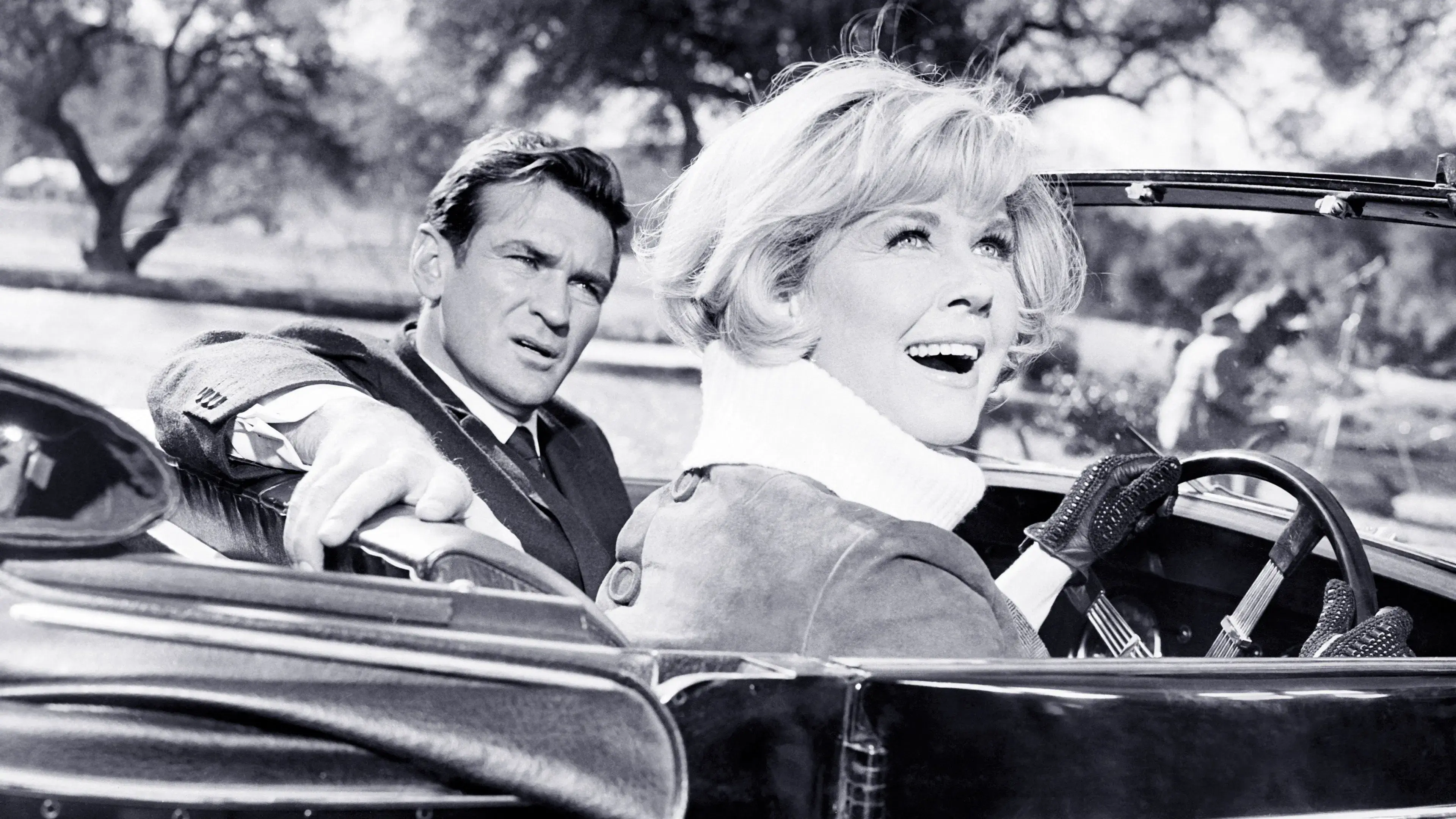 Favor Não Incomodar