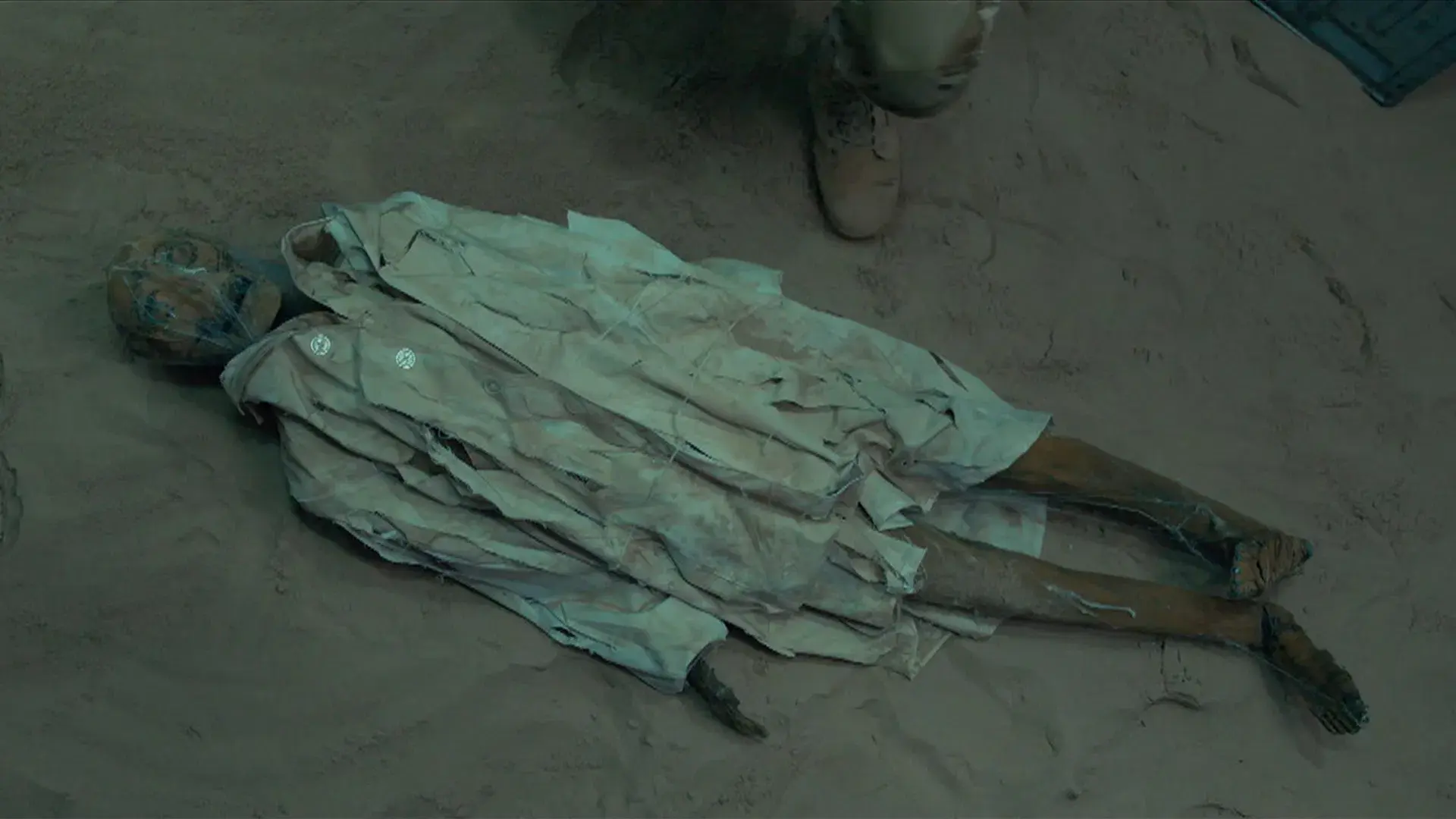 Aranhas! Um Experimento Que Deu Errado